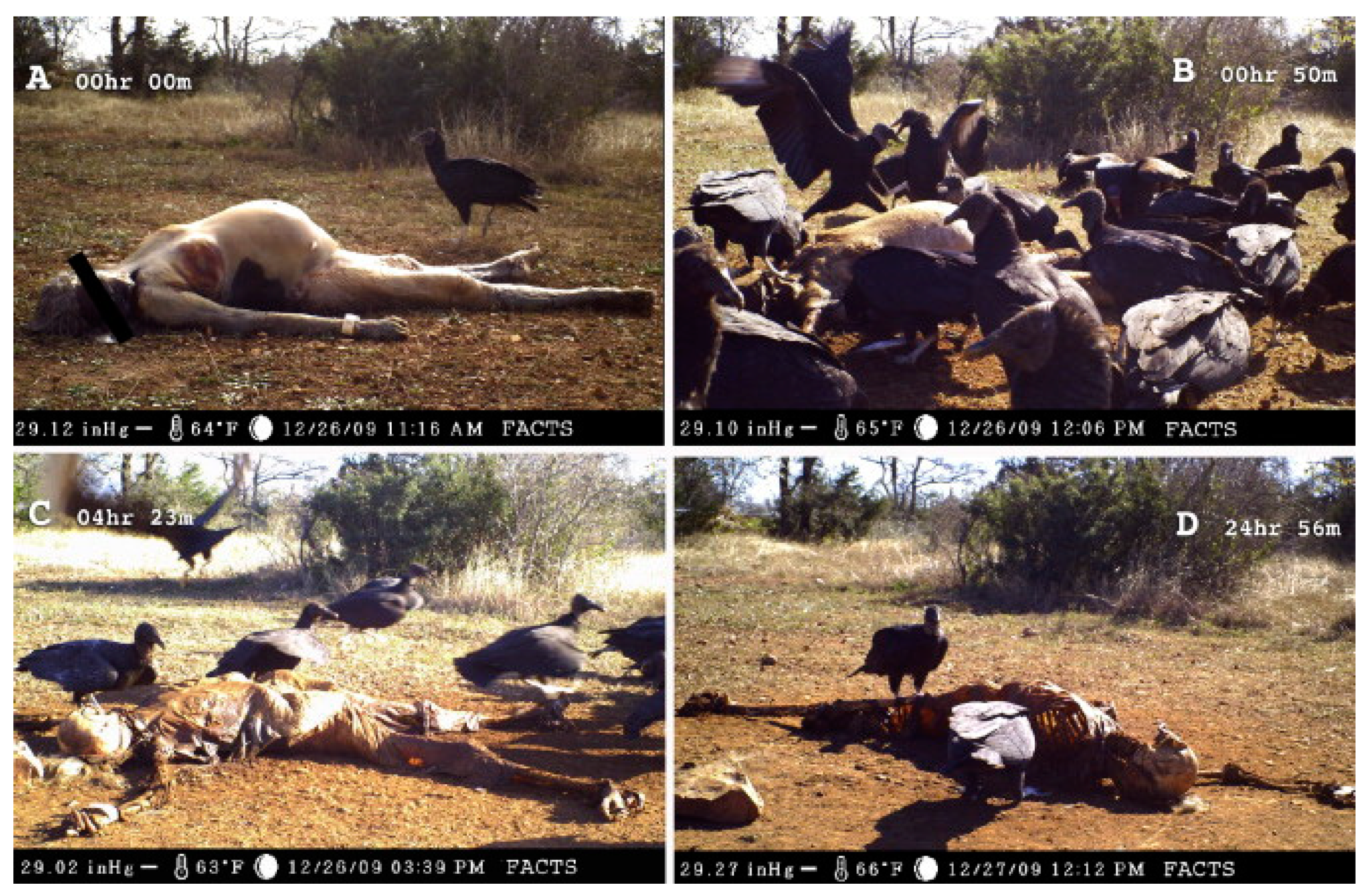 Biology 11 00601 g012 Biology 11 00601 g012