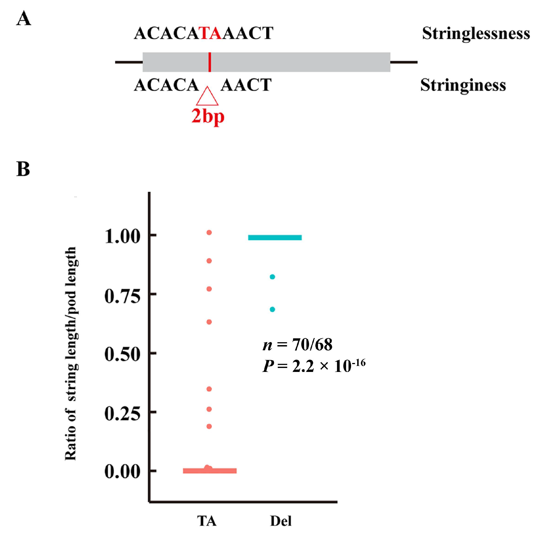 Biology 11 00611 g006