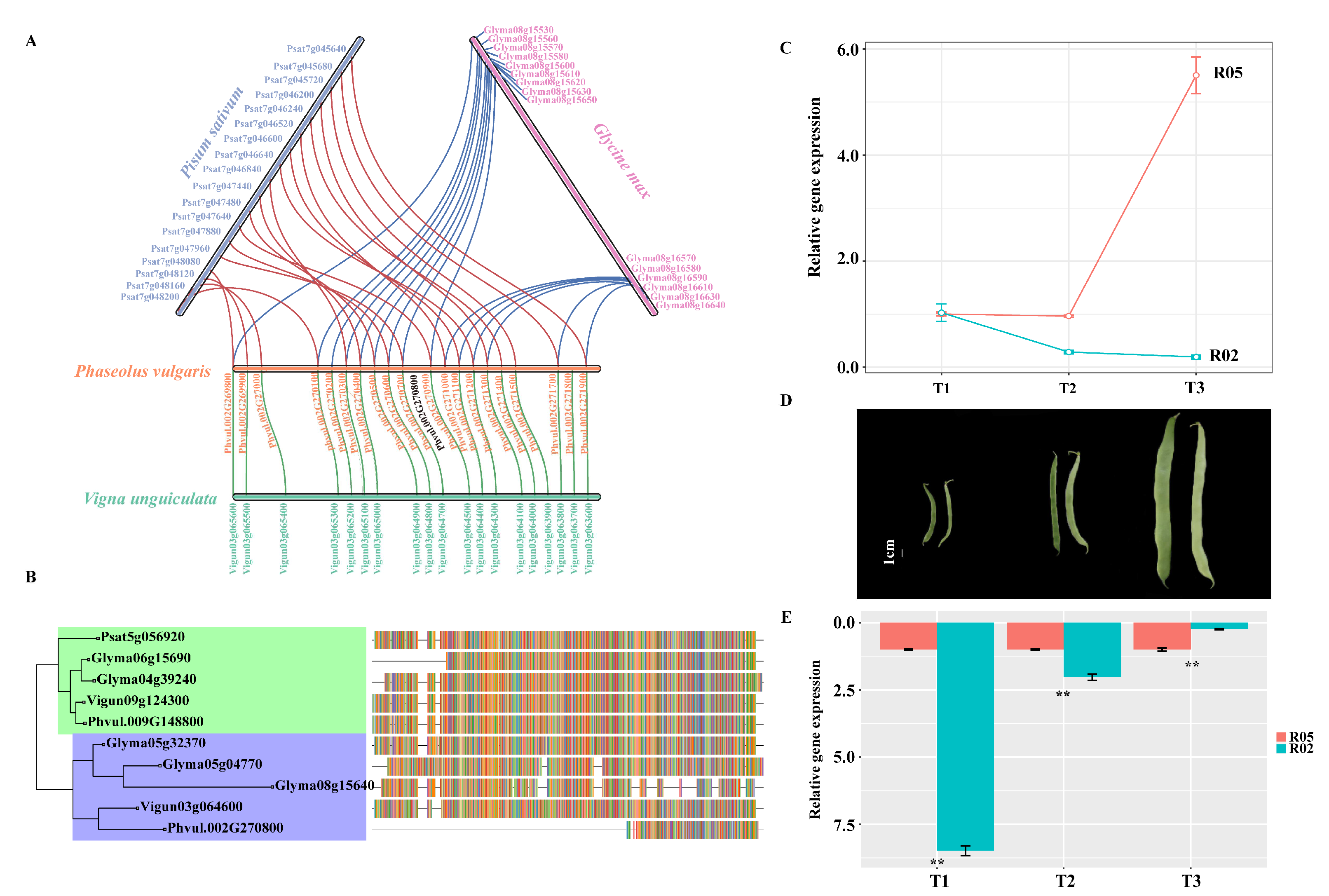 Biology 11 00611 g007