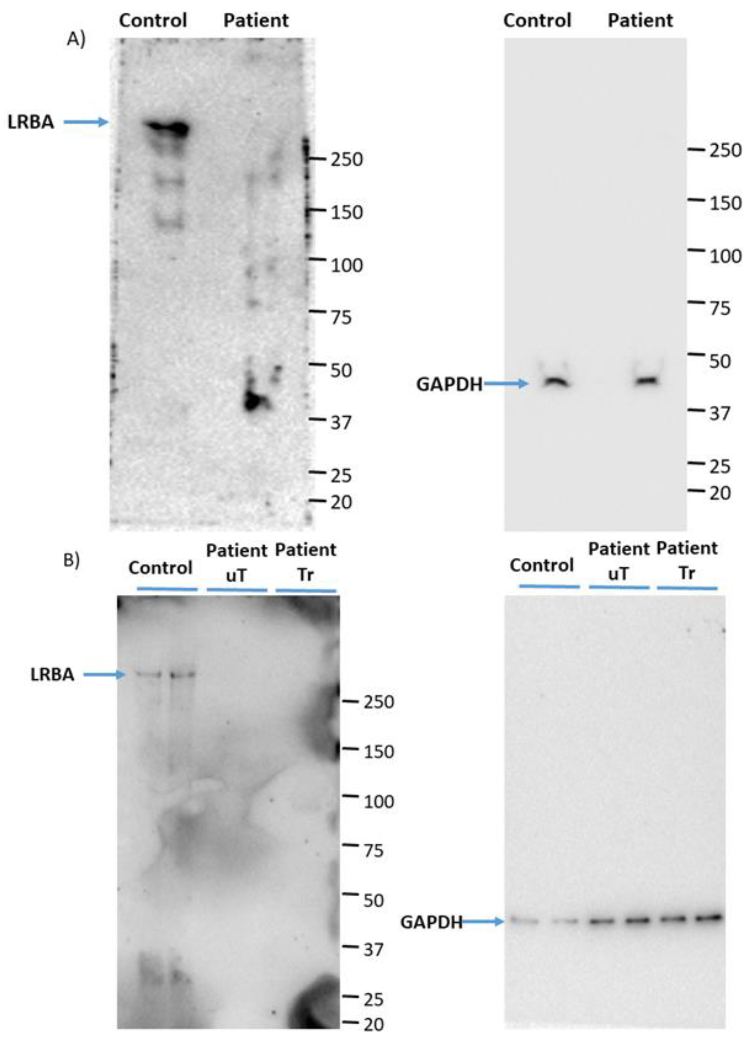 Biology 11 00612 g001