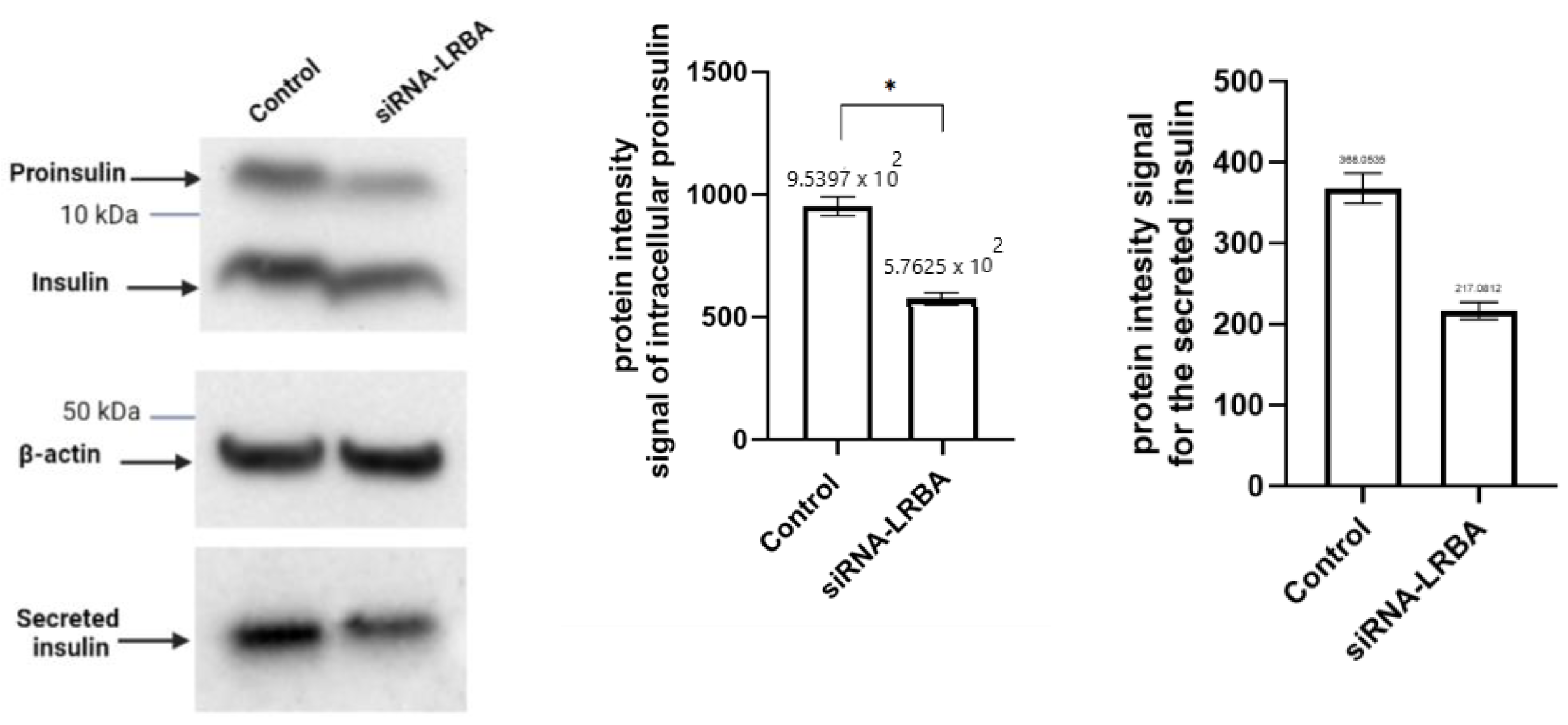 Biology 11 00612 g005