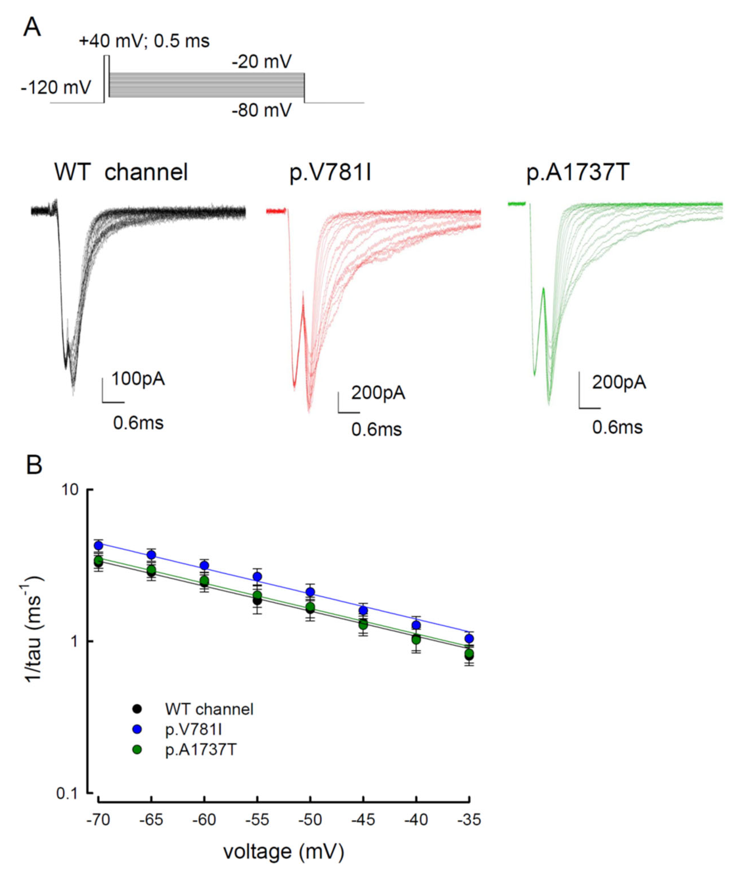 Biology 11 00613 g008 Biology 11 00613 g008