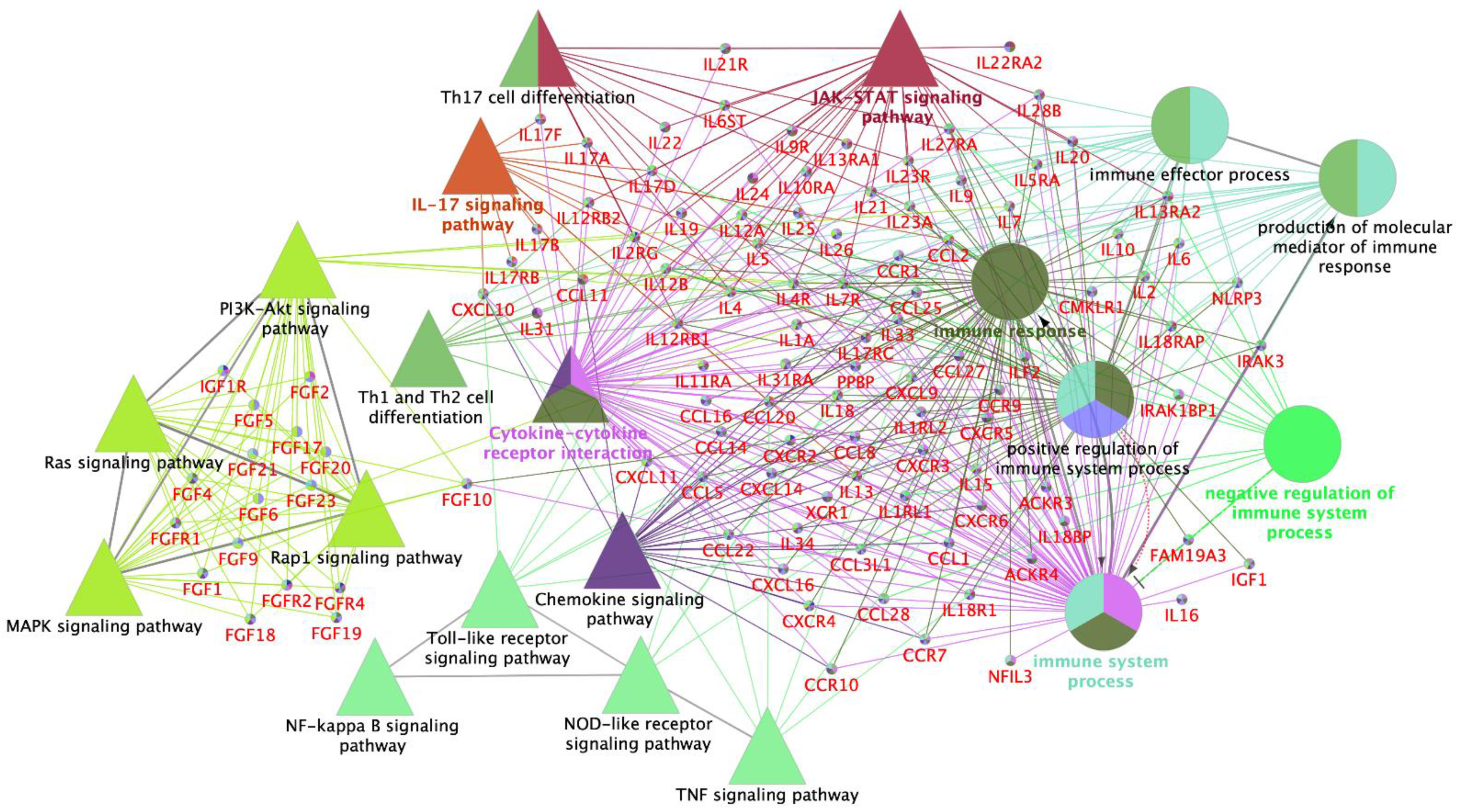 Biology 11 00616 g002 Biology 11 00616 g002