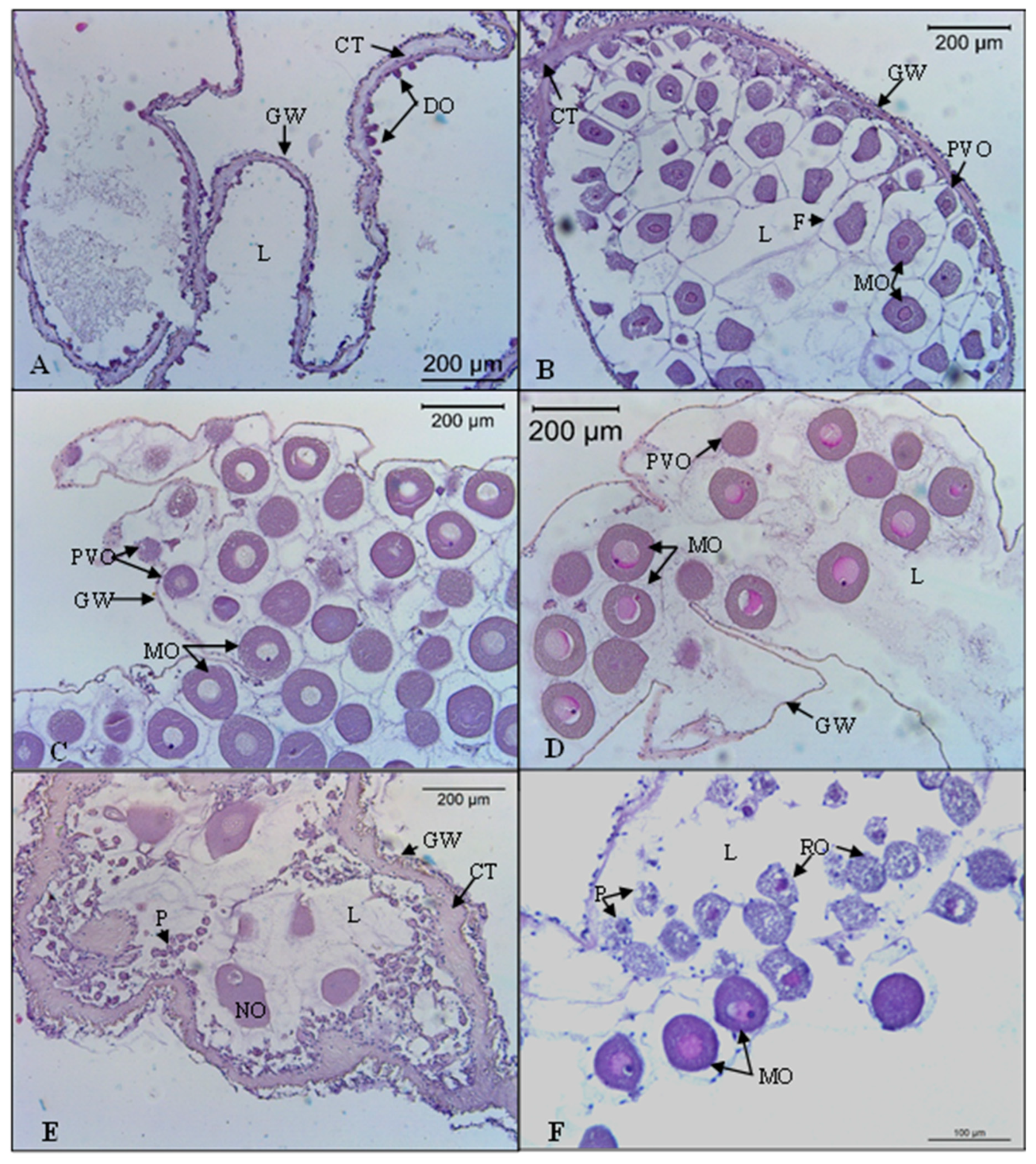 Biology 11 00622 g003