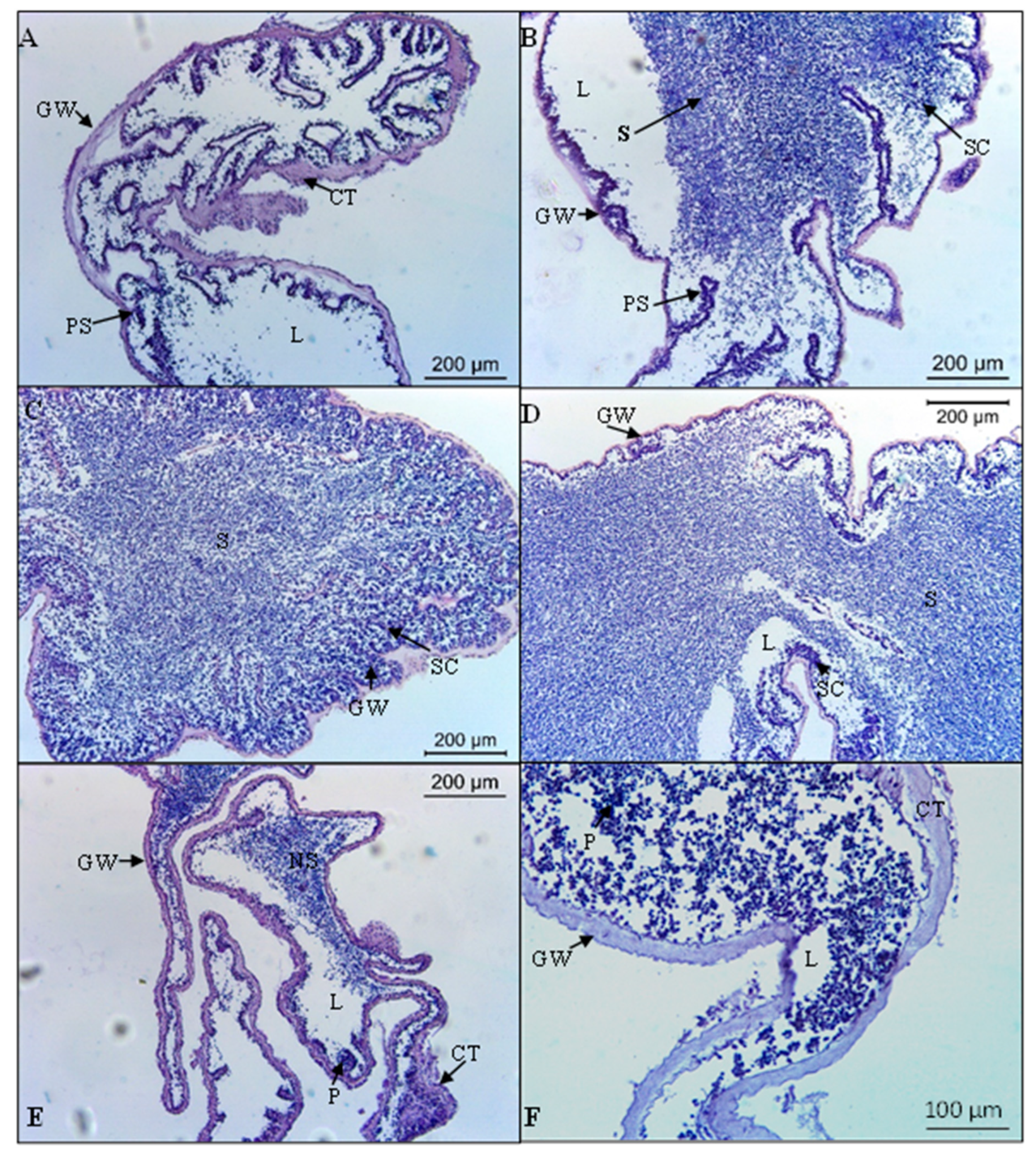 Biology 11 00622 g004
