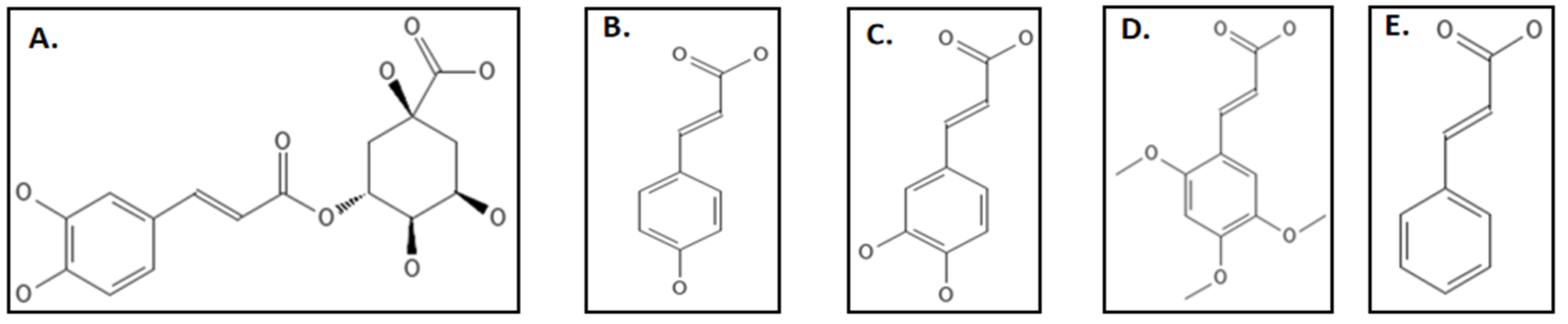 Biology 11 00624 g015 Biology 11 00624 g015