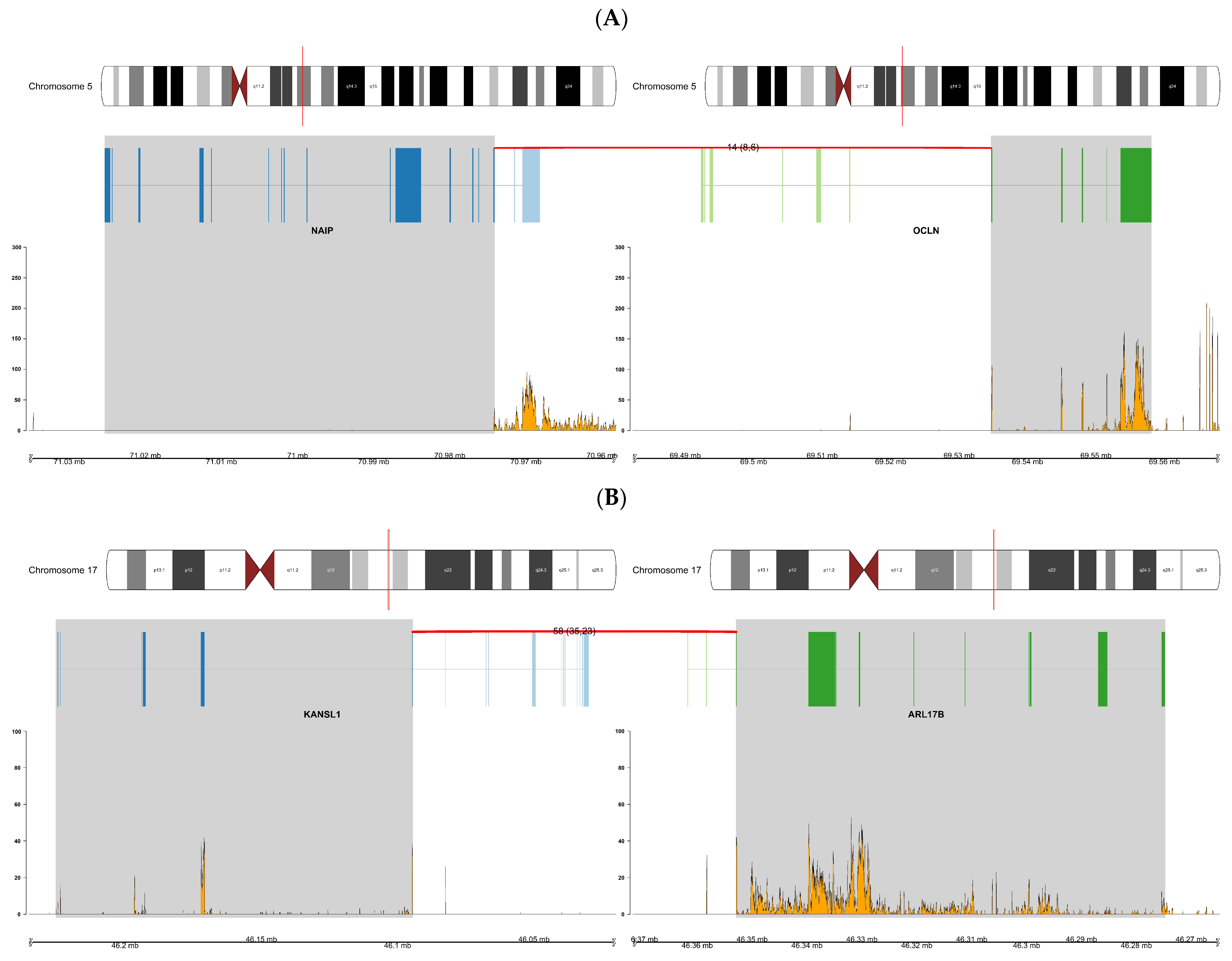 Biology 11 00625 g006 Biology 11 00625 g006