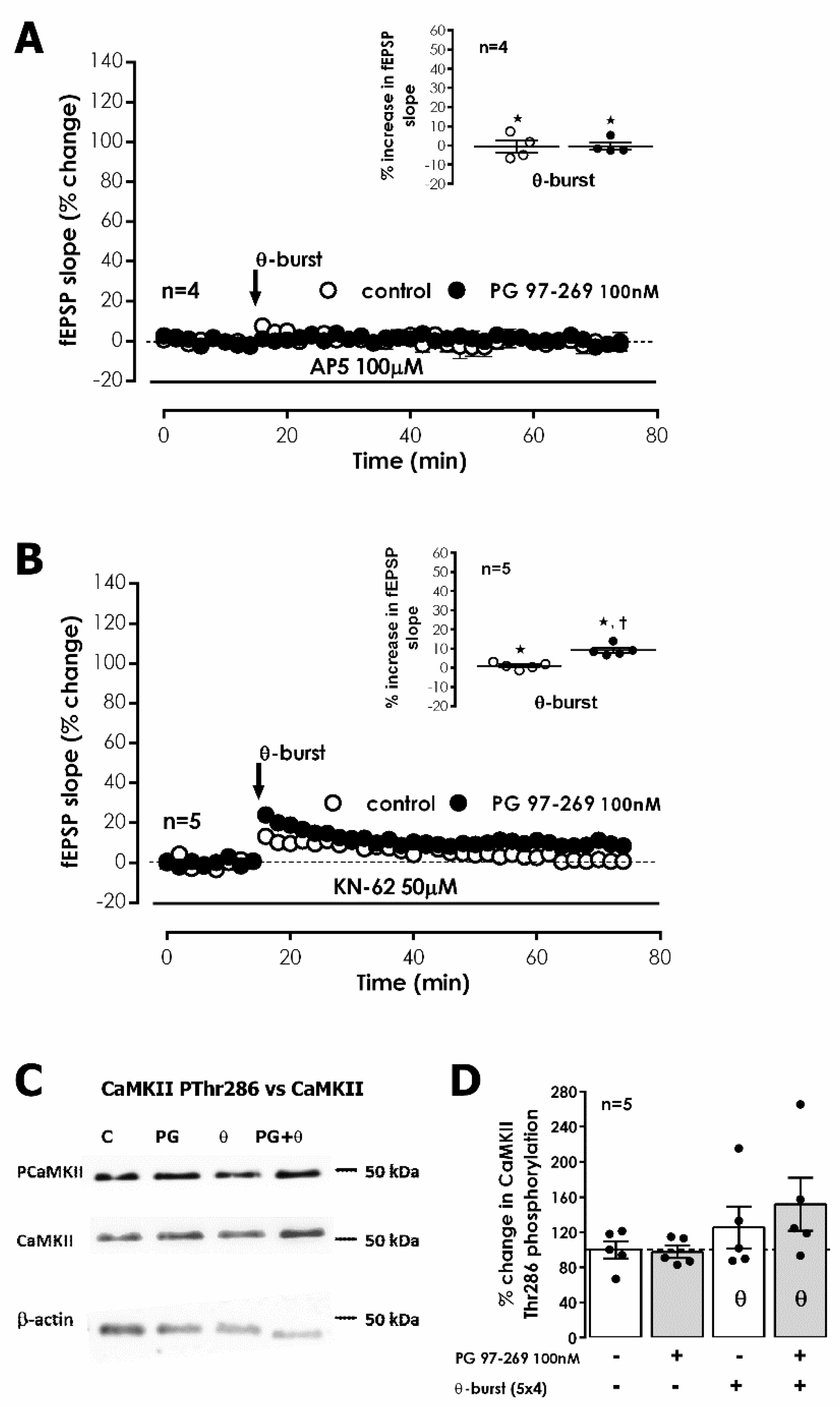 Biology 11 00627 g004
