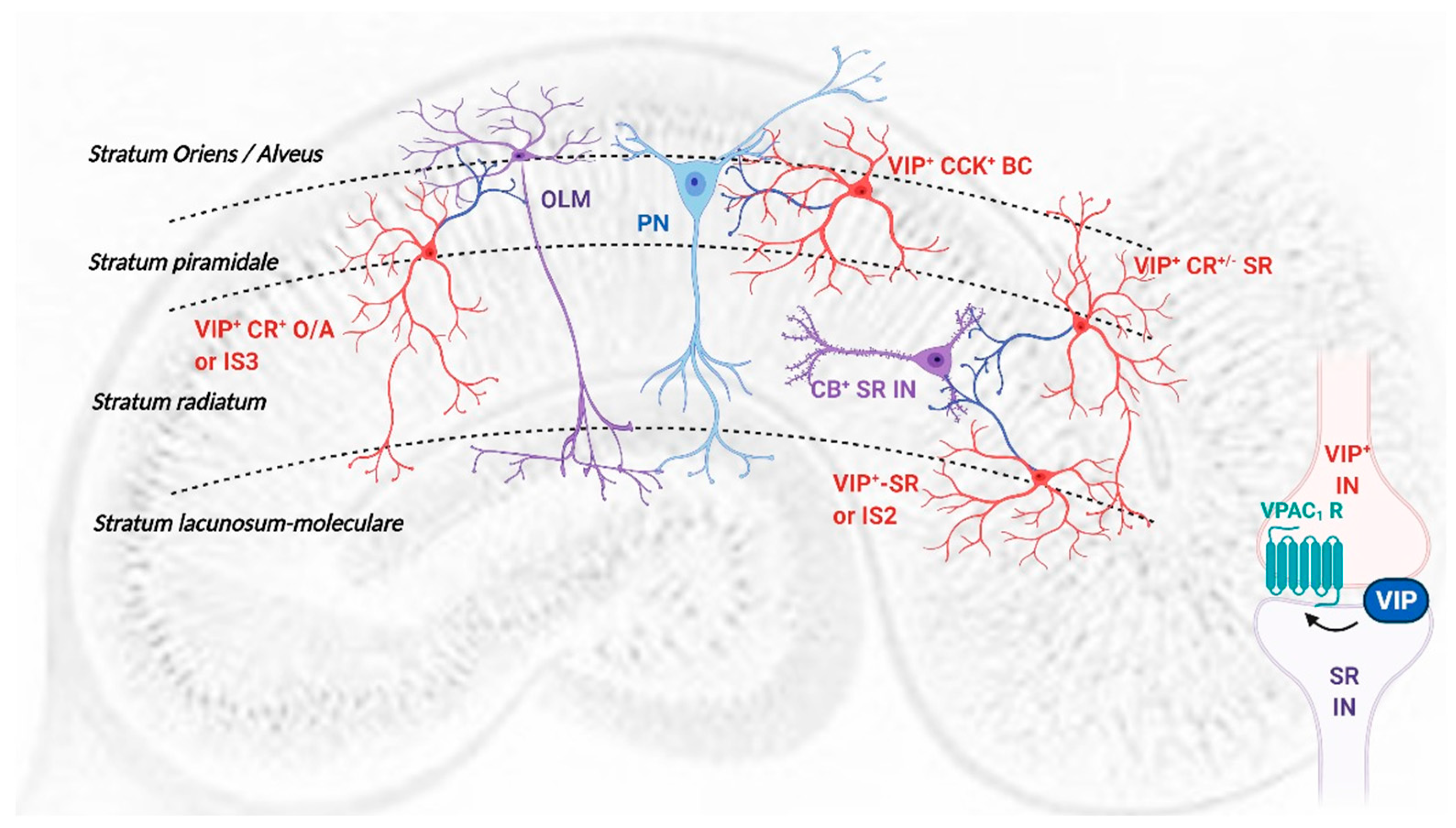 Biology 11 00627 g008