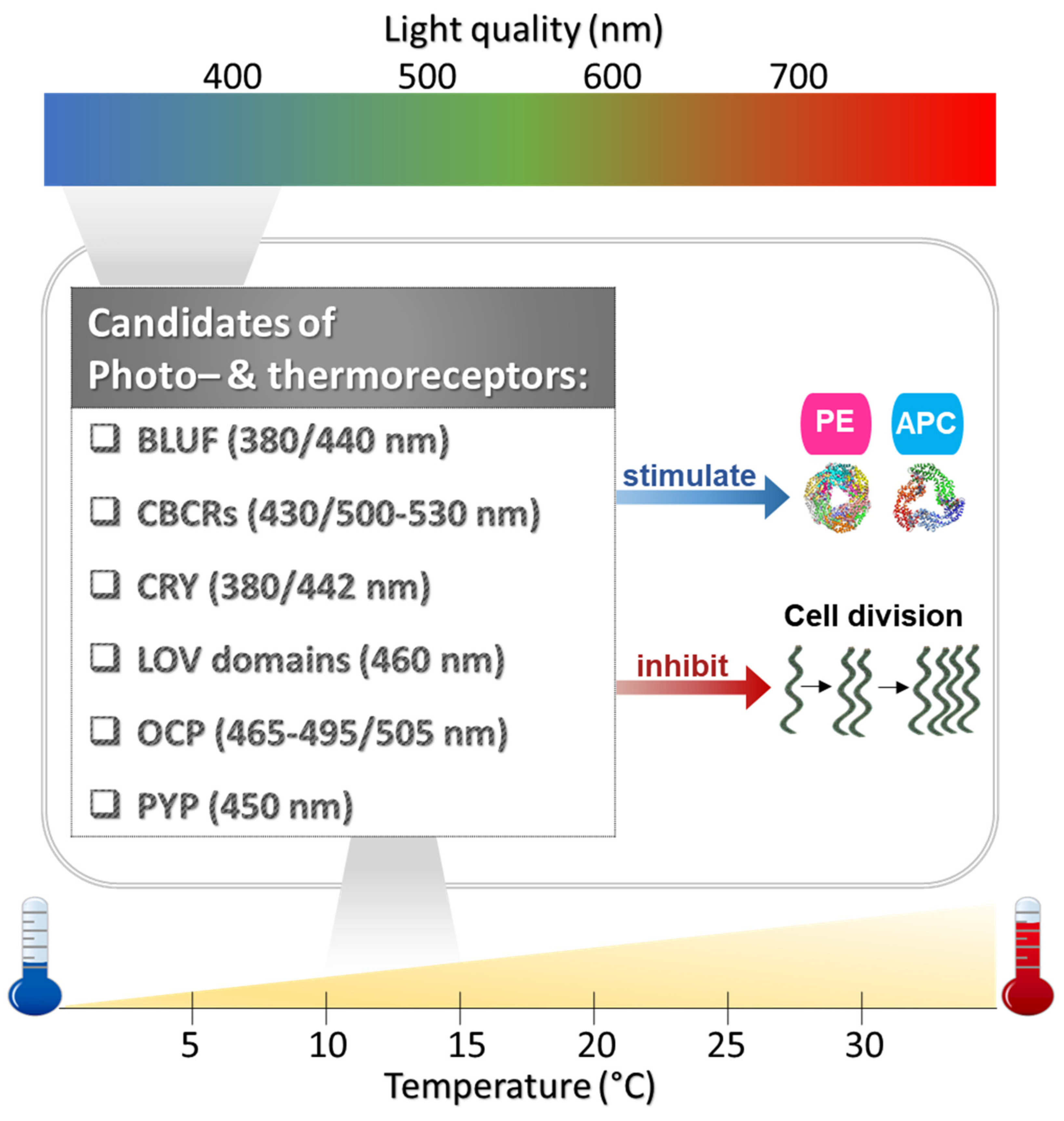 Biology 11 00628 g005