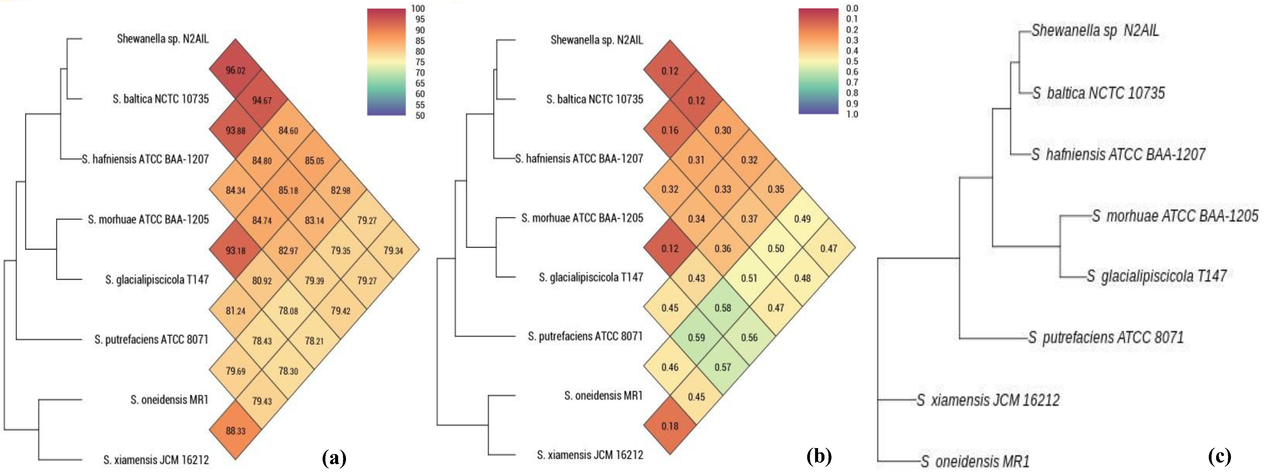 Biology 11 00632 g003