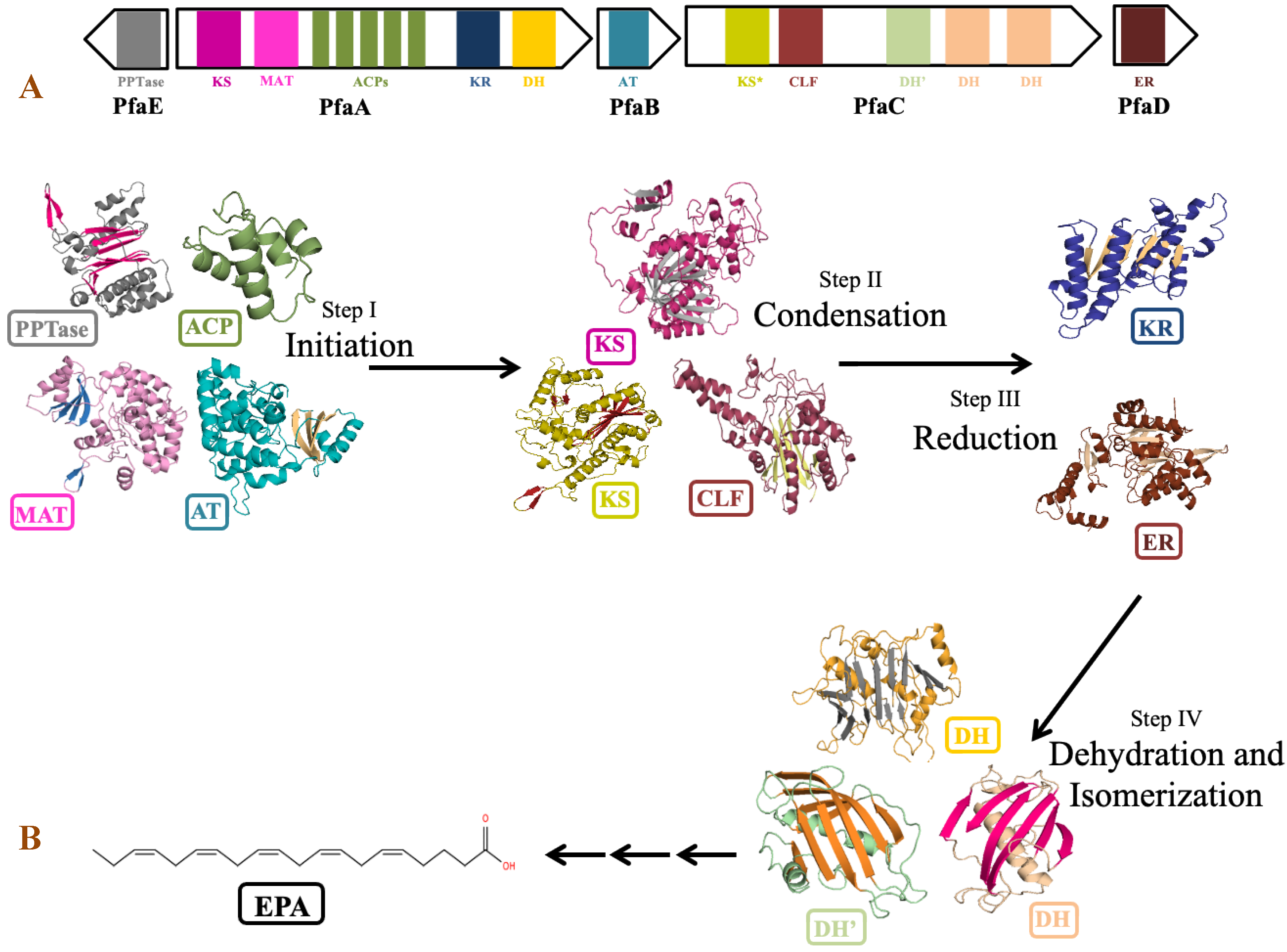 Biology 11 00632 g008