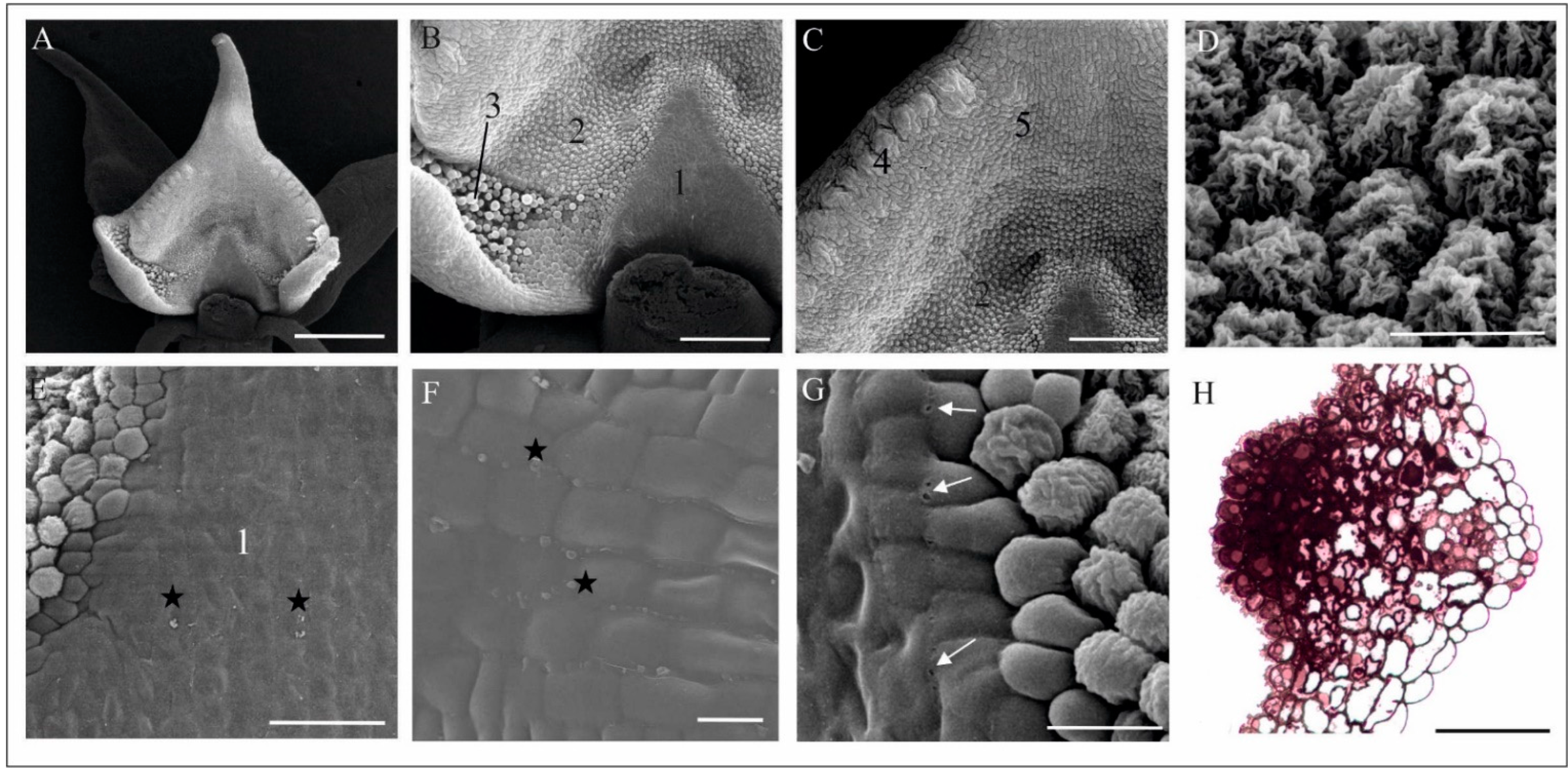 Biology 11 00640 g002 Biology 11 00640 g002