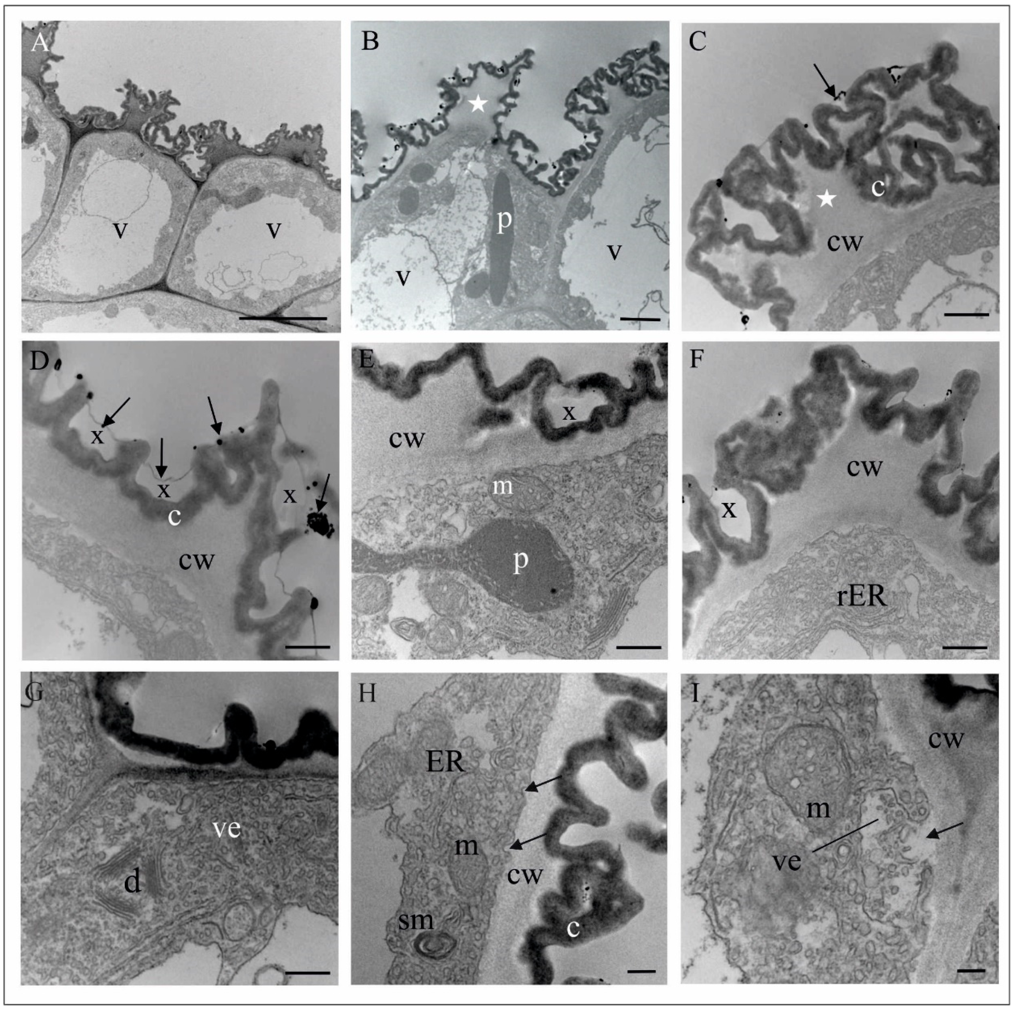 Biology 11 00640 g003 Biology 11 00640 g003