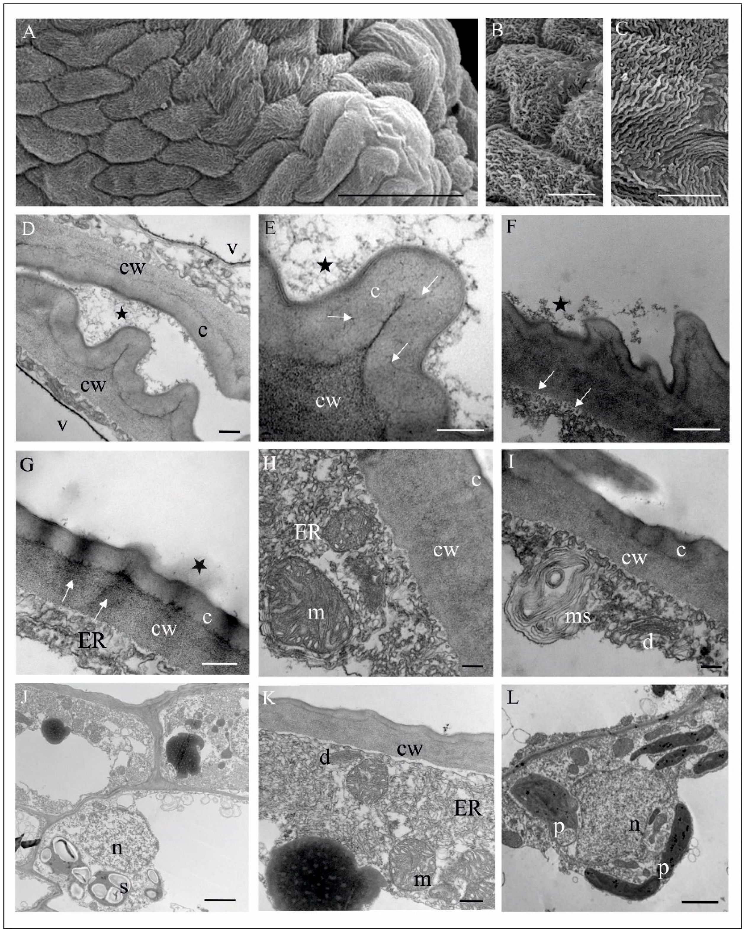 Biology 11 00640 g005 Biology 11 00640 g005