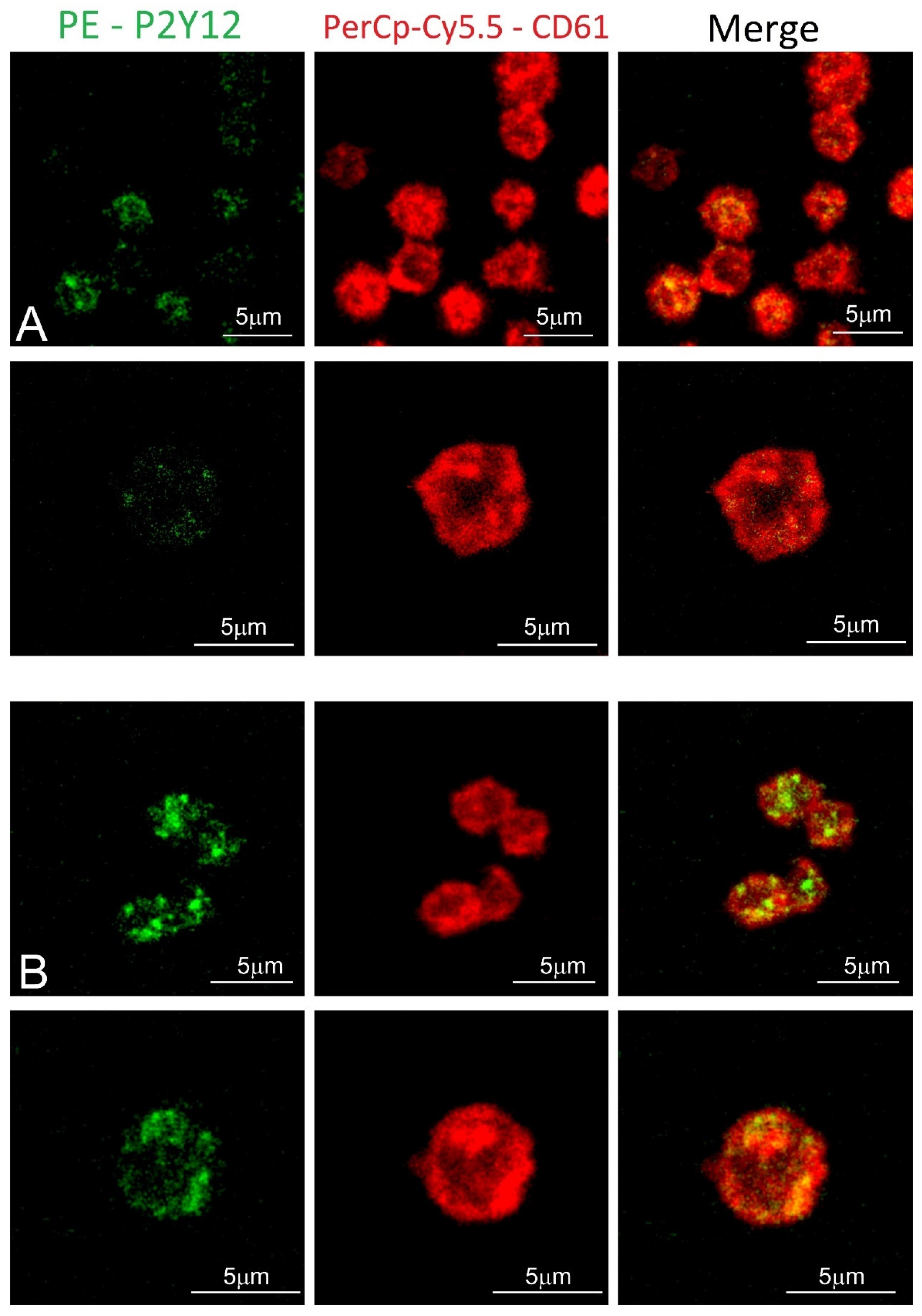 Biology 11 00644 g004