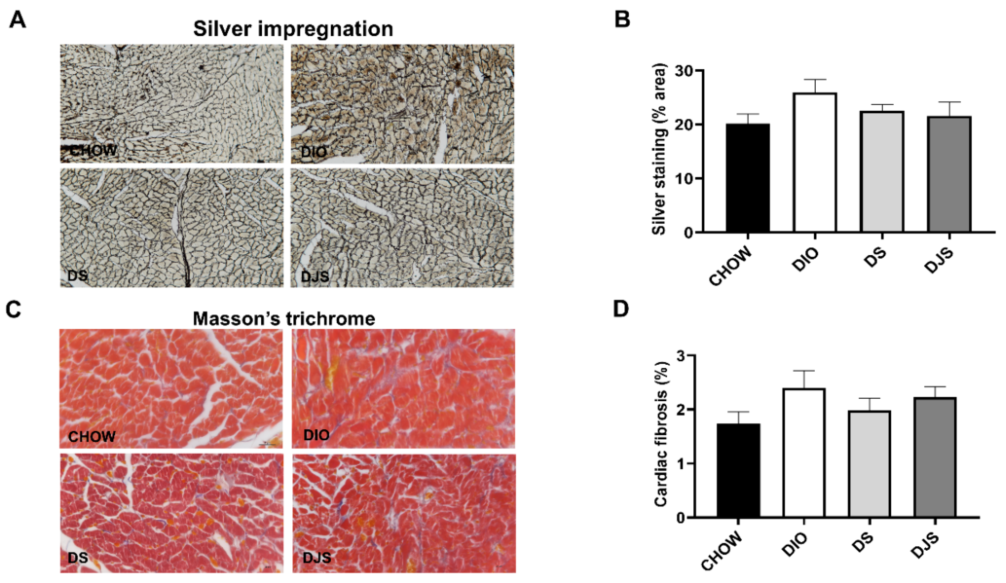 Biology 11 00646 g002 Biology 11 00646 g002