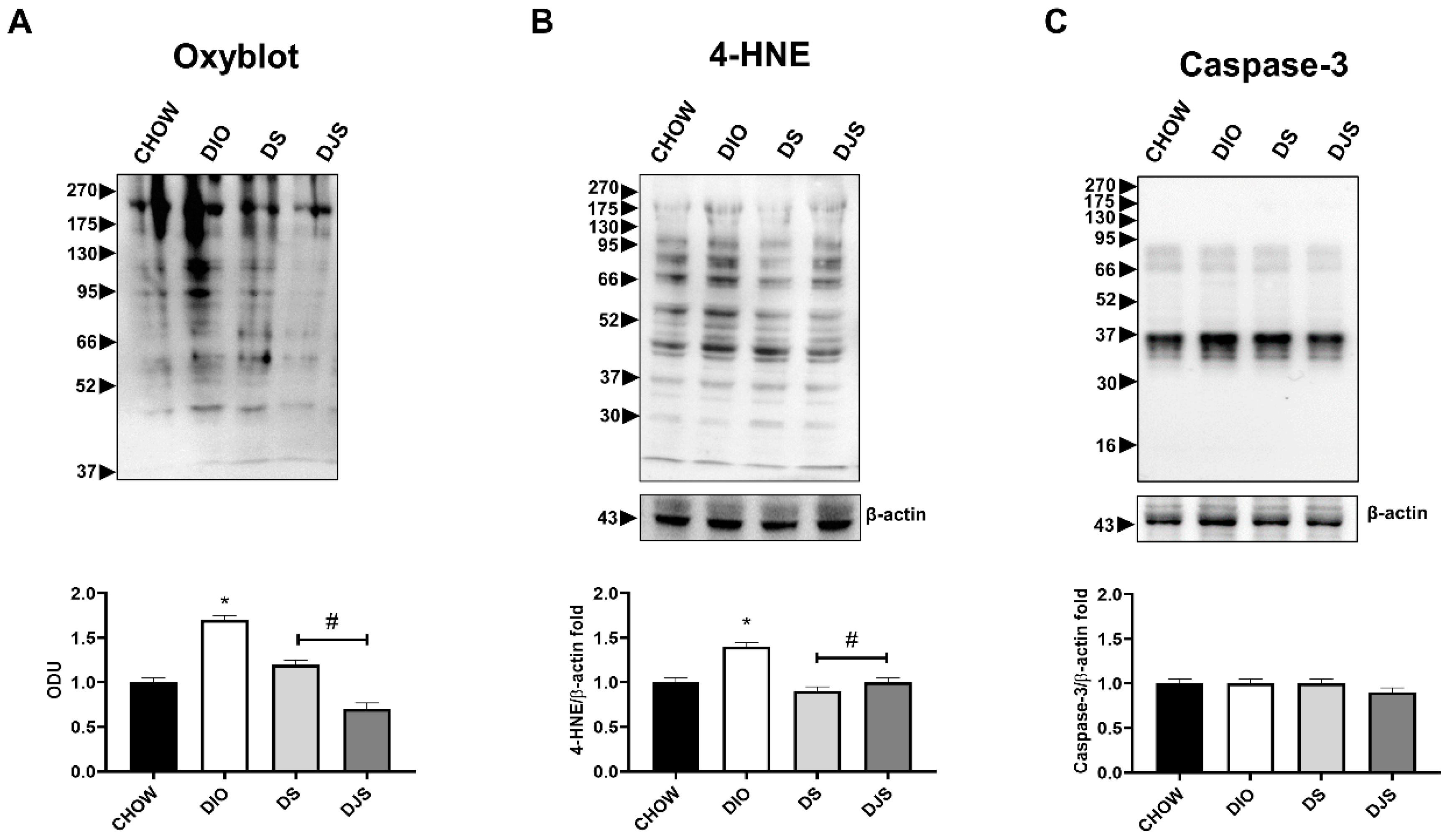 Biology 11 00646 g003 Biology 11 00646 g003