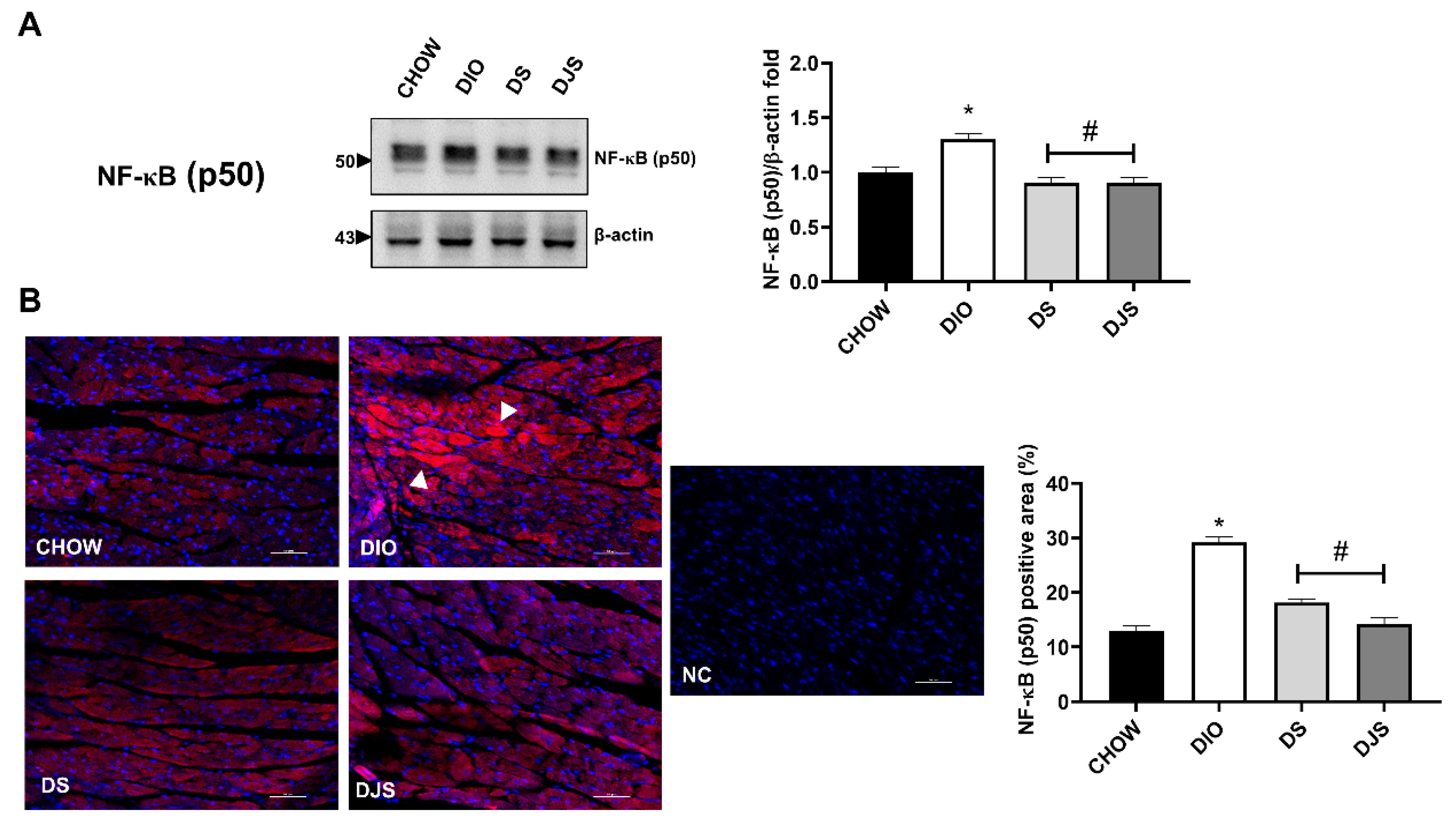 Biology 11 00646 g004 Biology 11 00646 g004