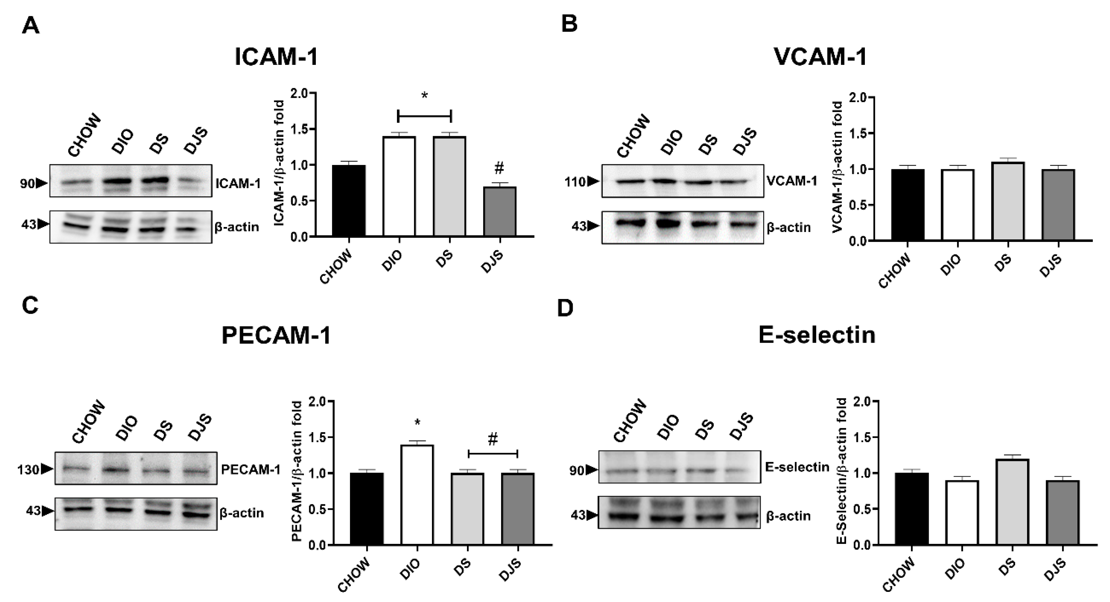 Biology 11 00646 g005 Biology 11 00646 g005