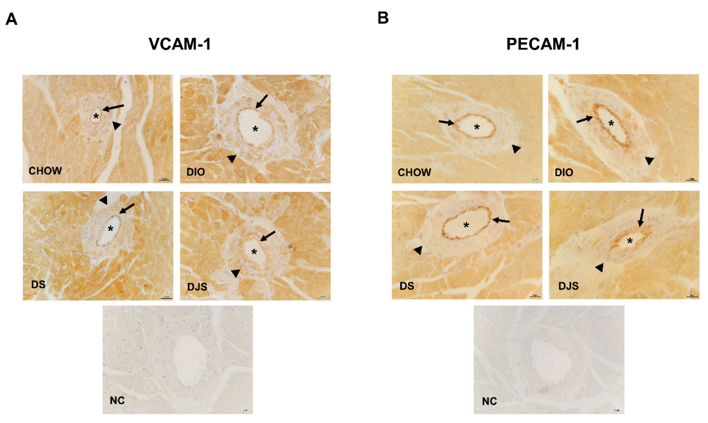 Biology 11 00646 g006 Biology 11 00646 g006