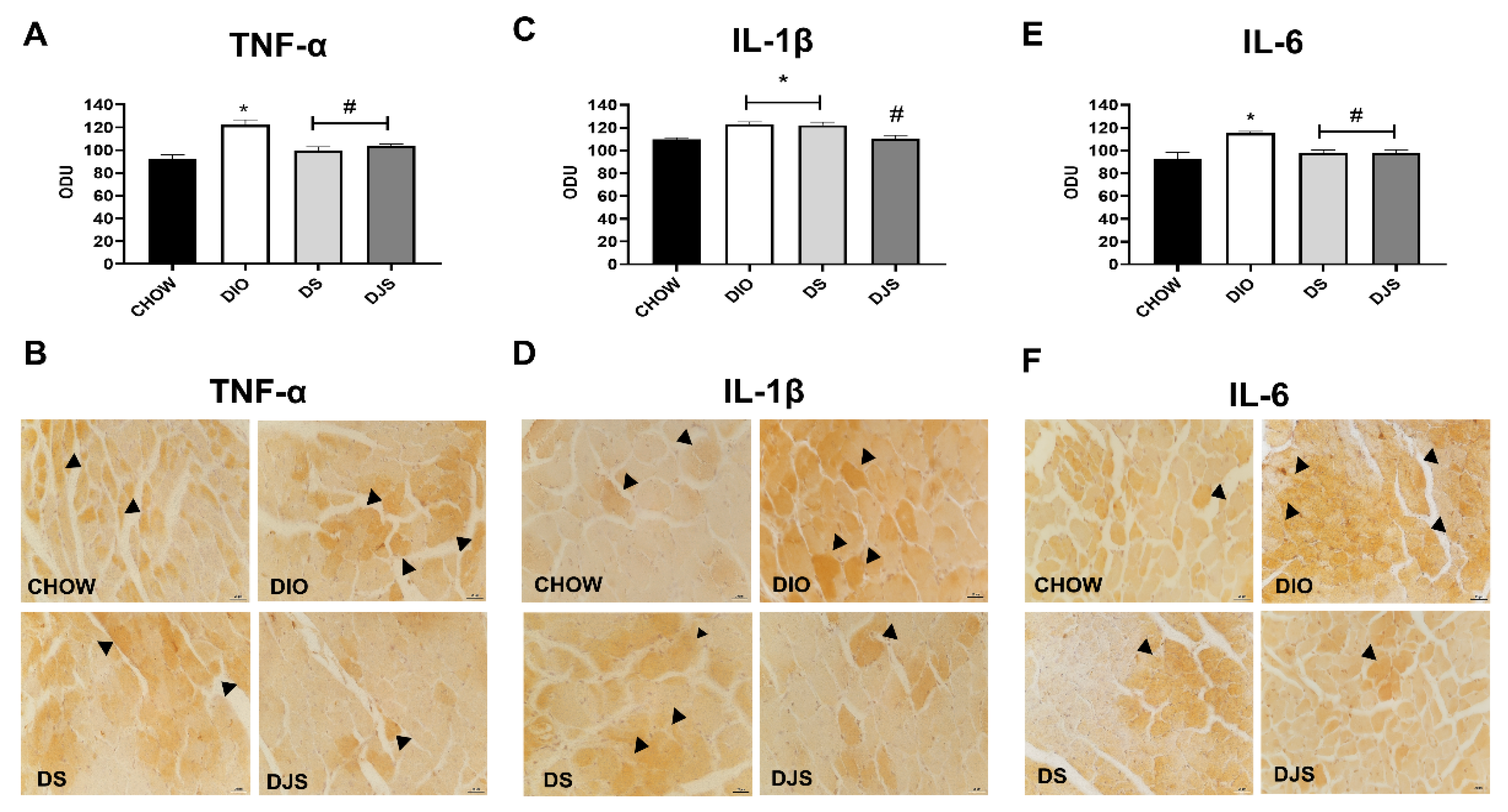 Biology 11 00646 g008 Biology 11 00646 g008