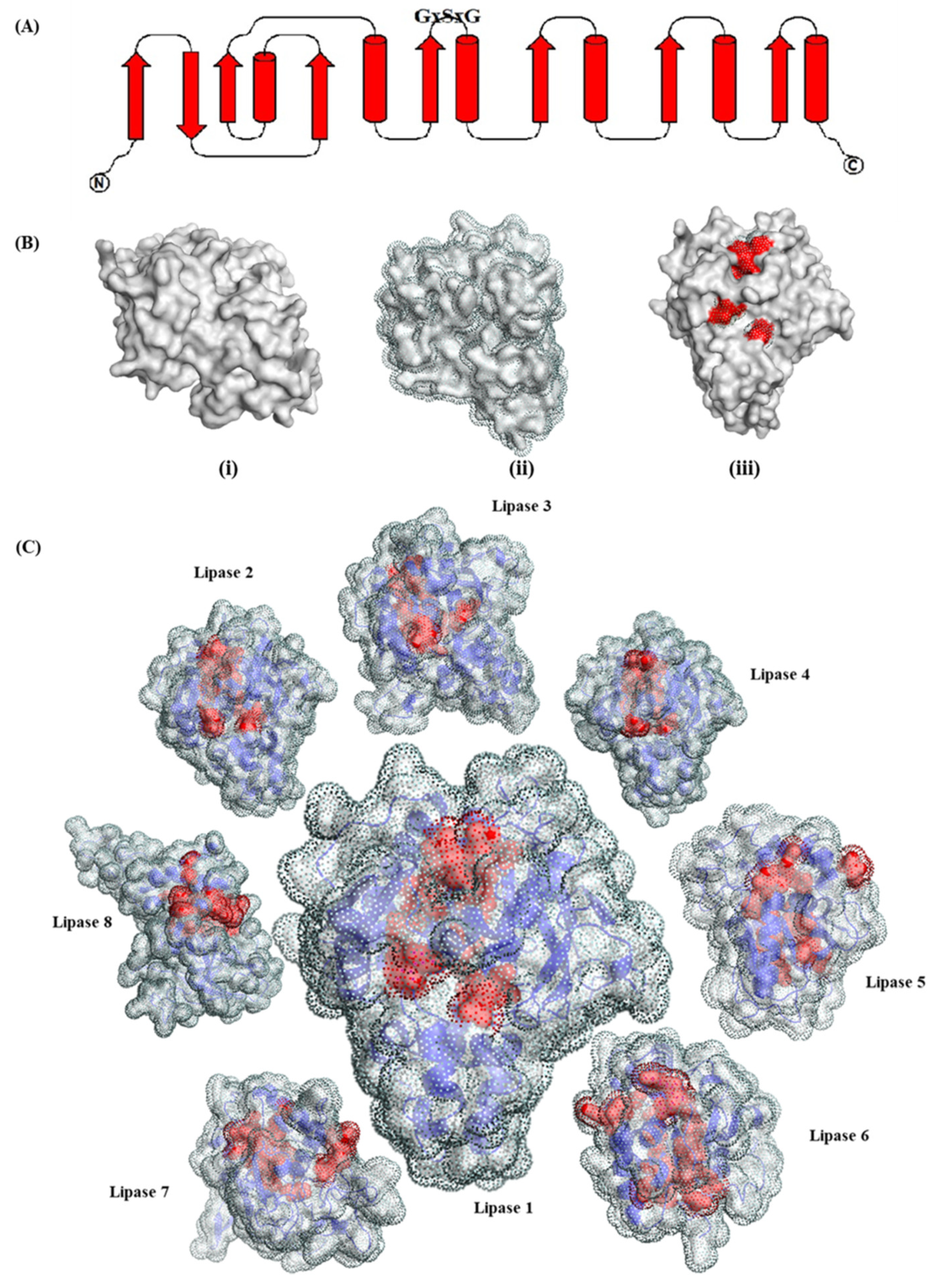 Biology 11 00652 g001