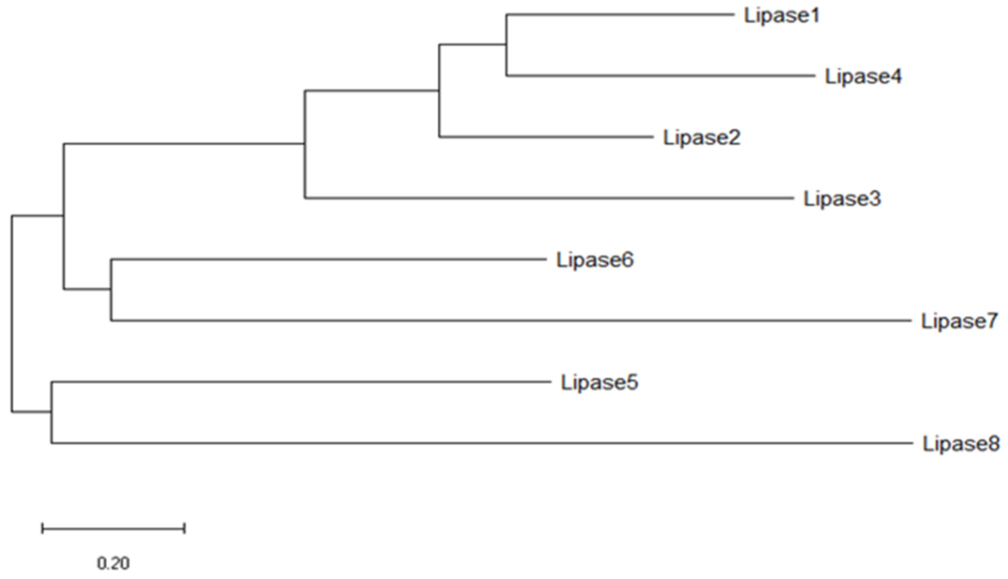 Biology 11 00652 g002