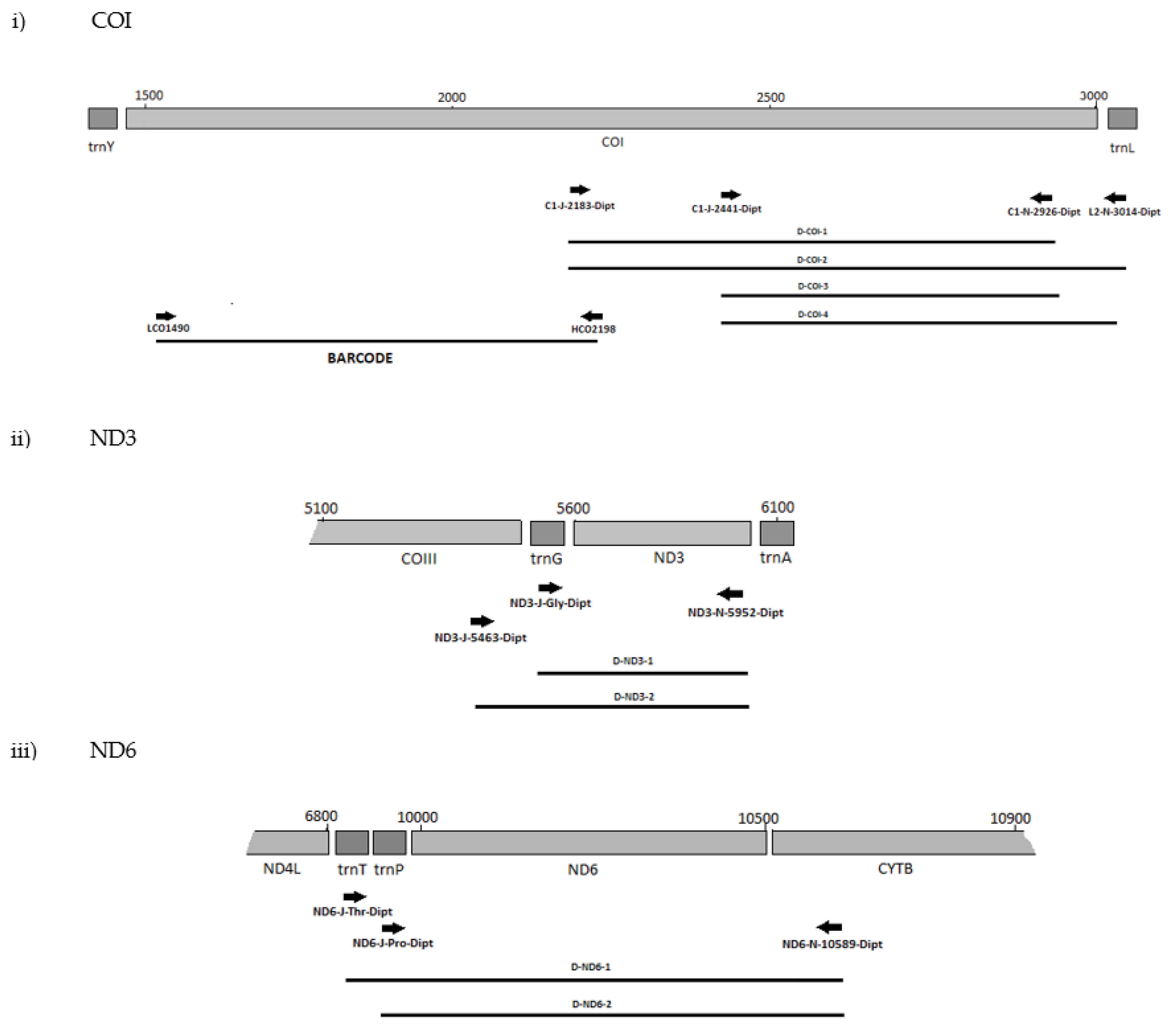 Biology 11 00654 g001a Biology 11 00654 g001a