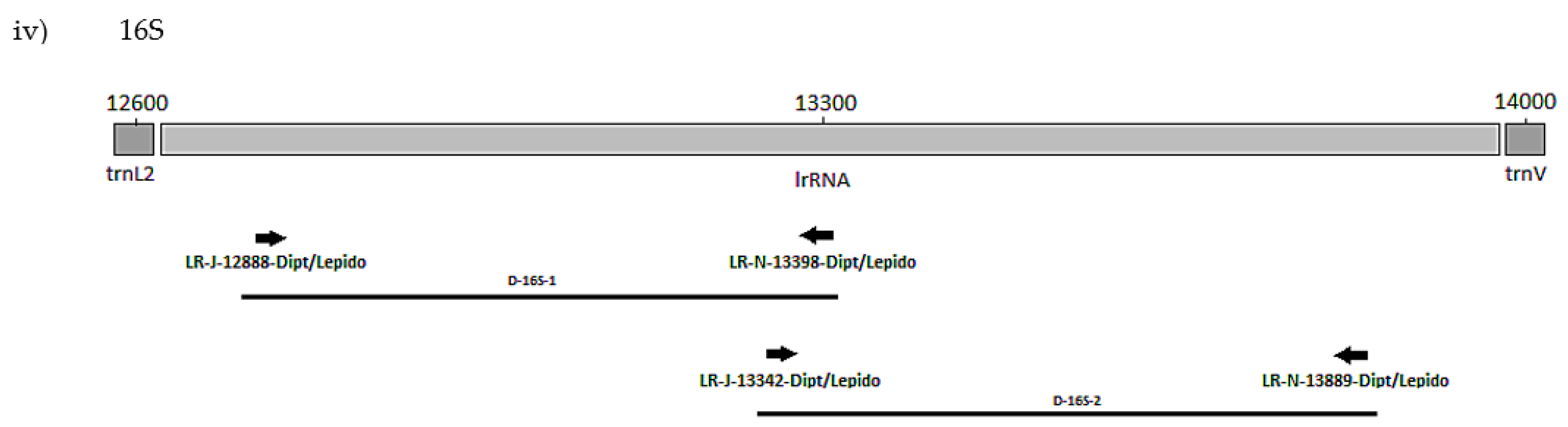 Biology 11 00654 g001b Biology 11 00654 g001b