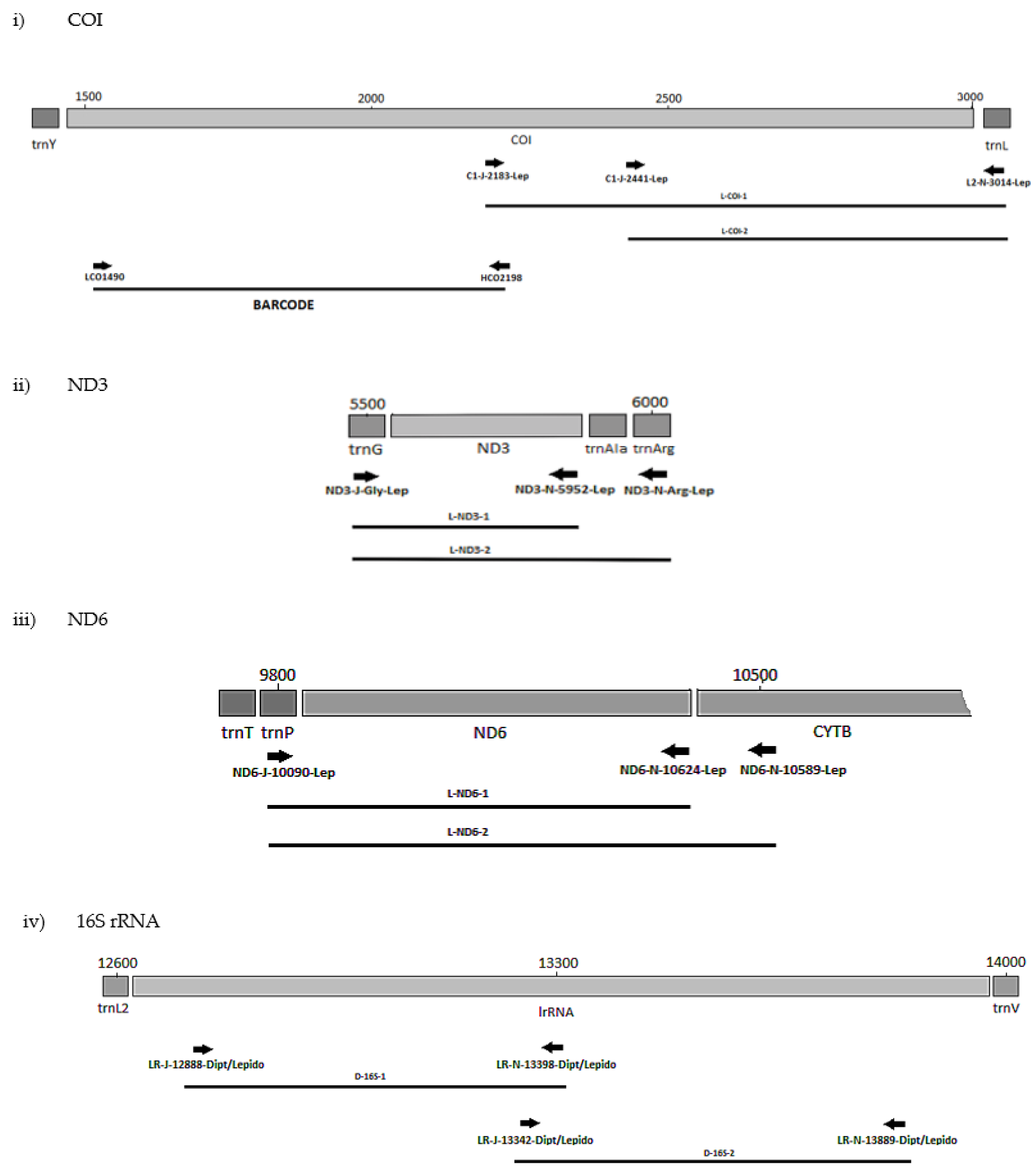 Biology 11 00654 g002 Biology 11 00654 g002