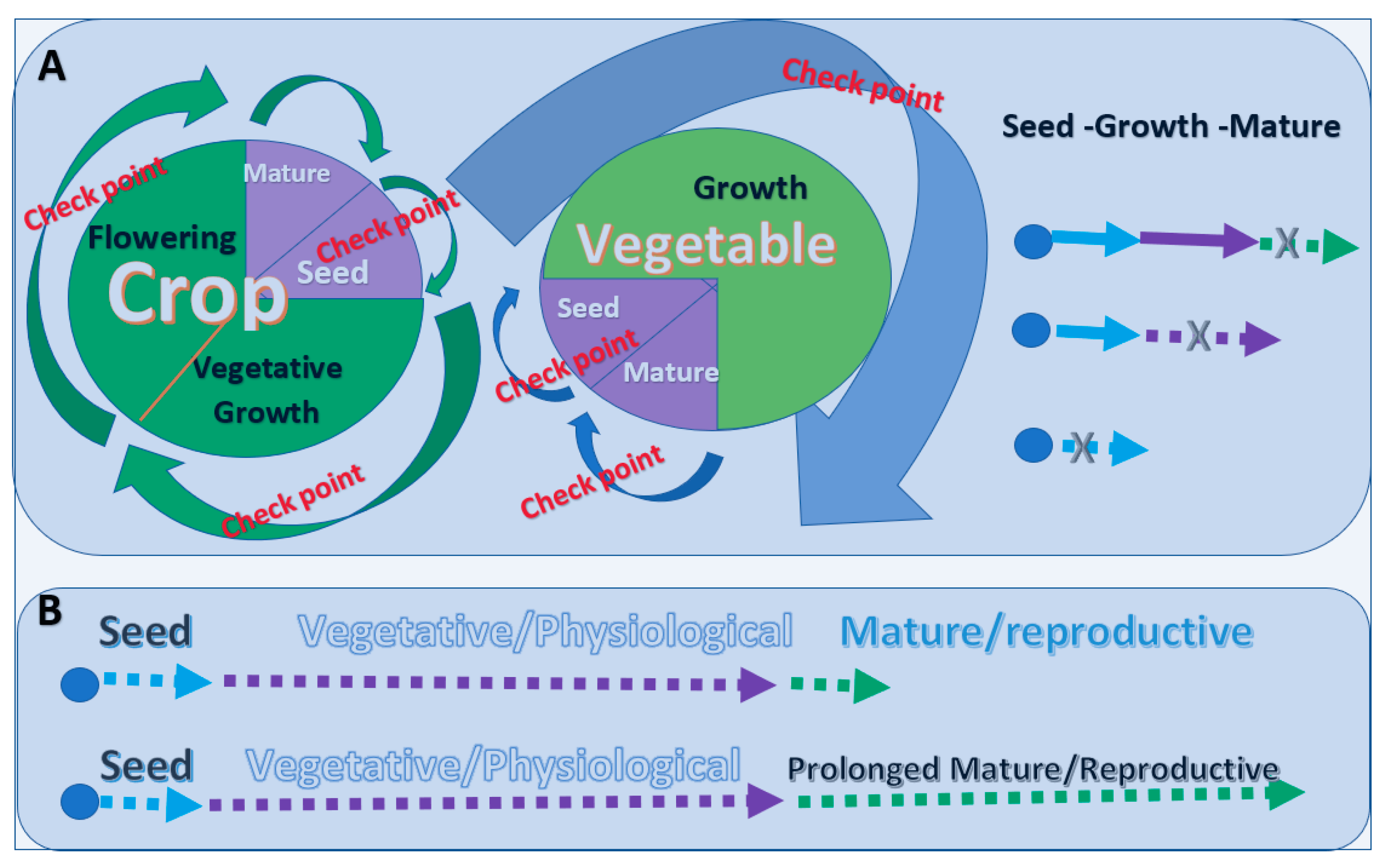Biology 11 00656 g002 Biology 11 00656 g002