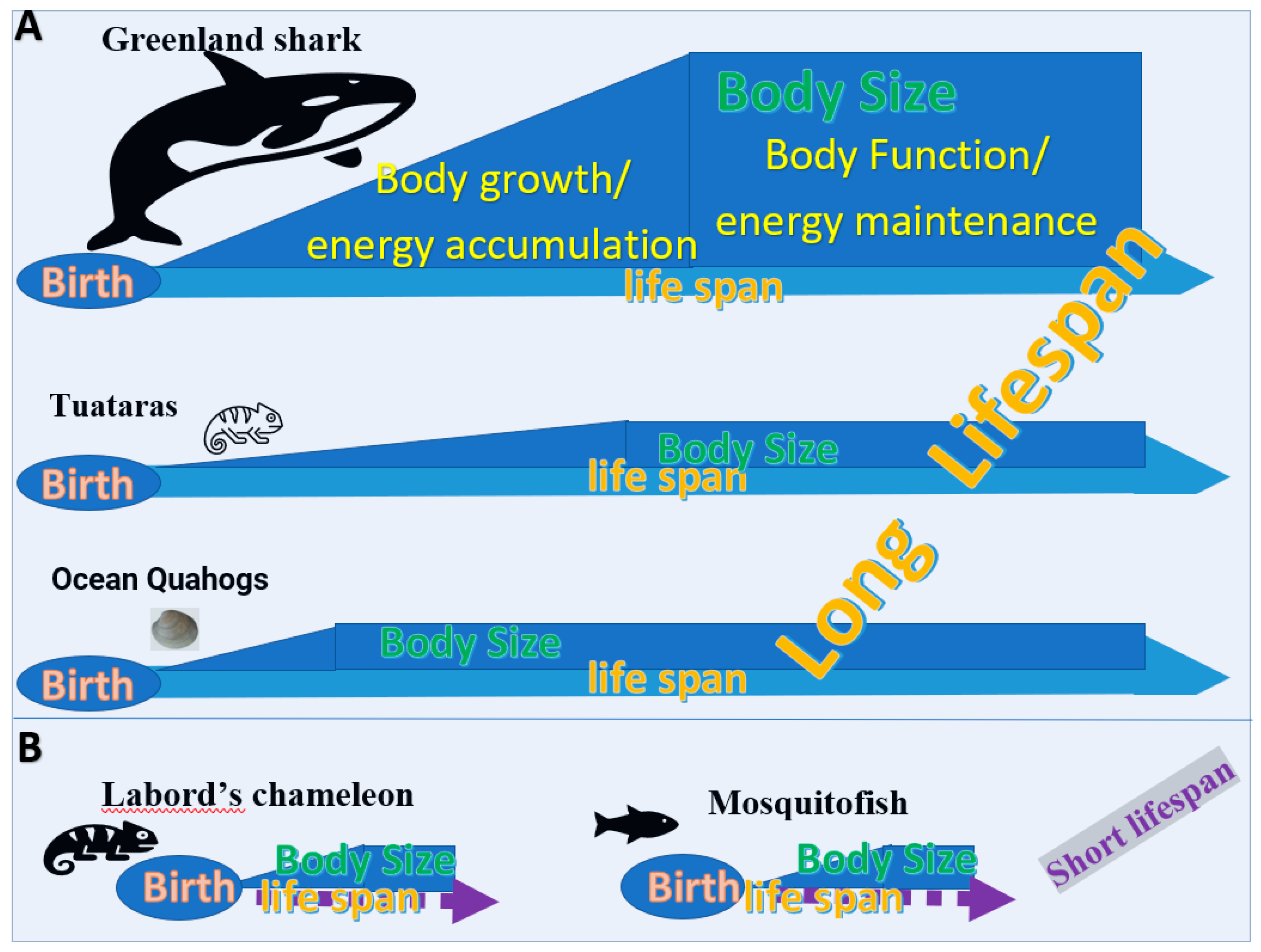 Biology 11 00656 g004 Biology 11 00656 g004