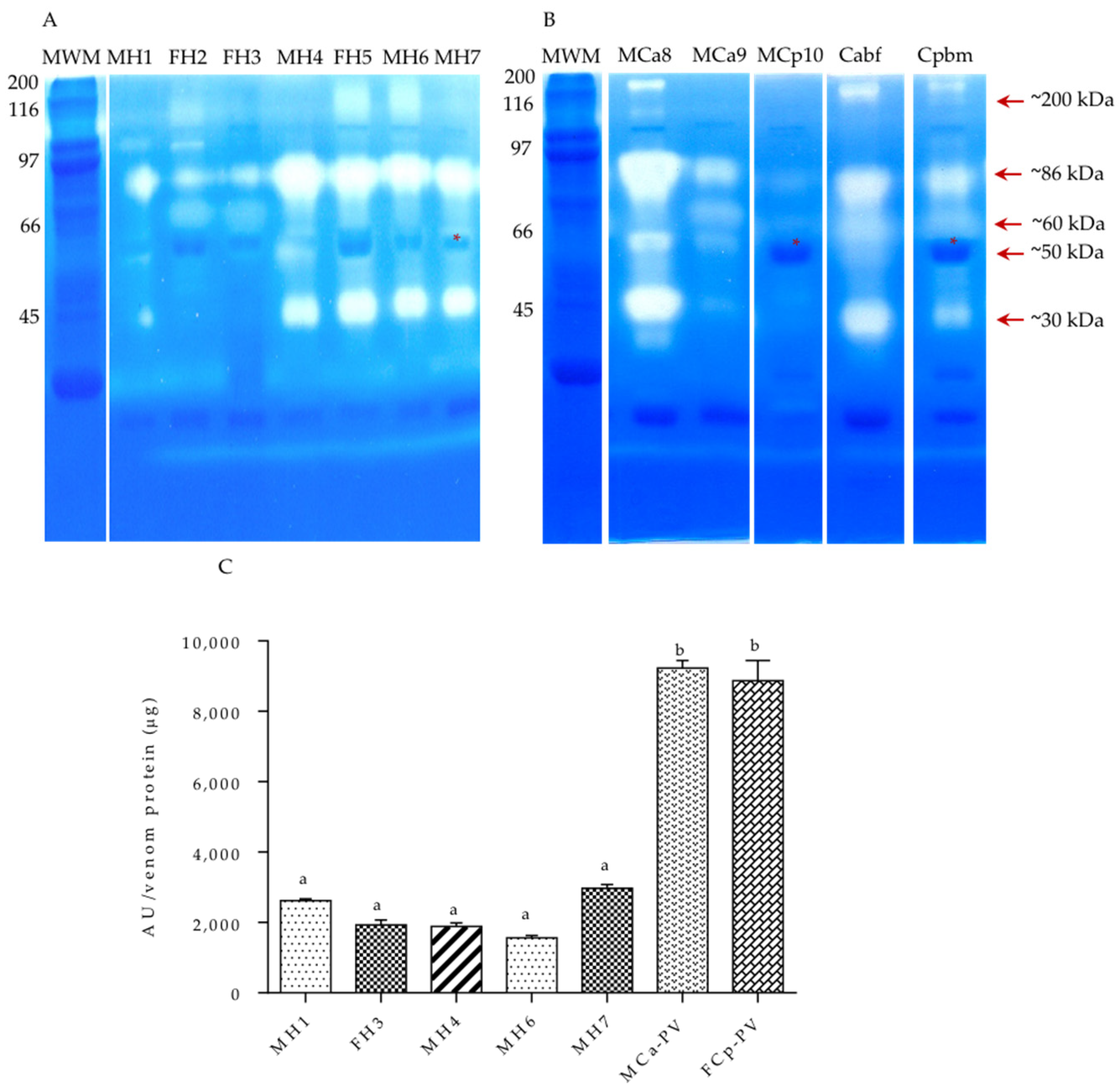 Biology 11 00661 g005 Biology 11 00661 g005