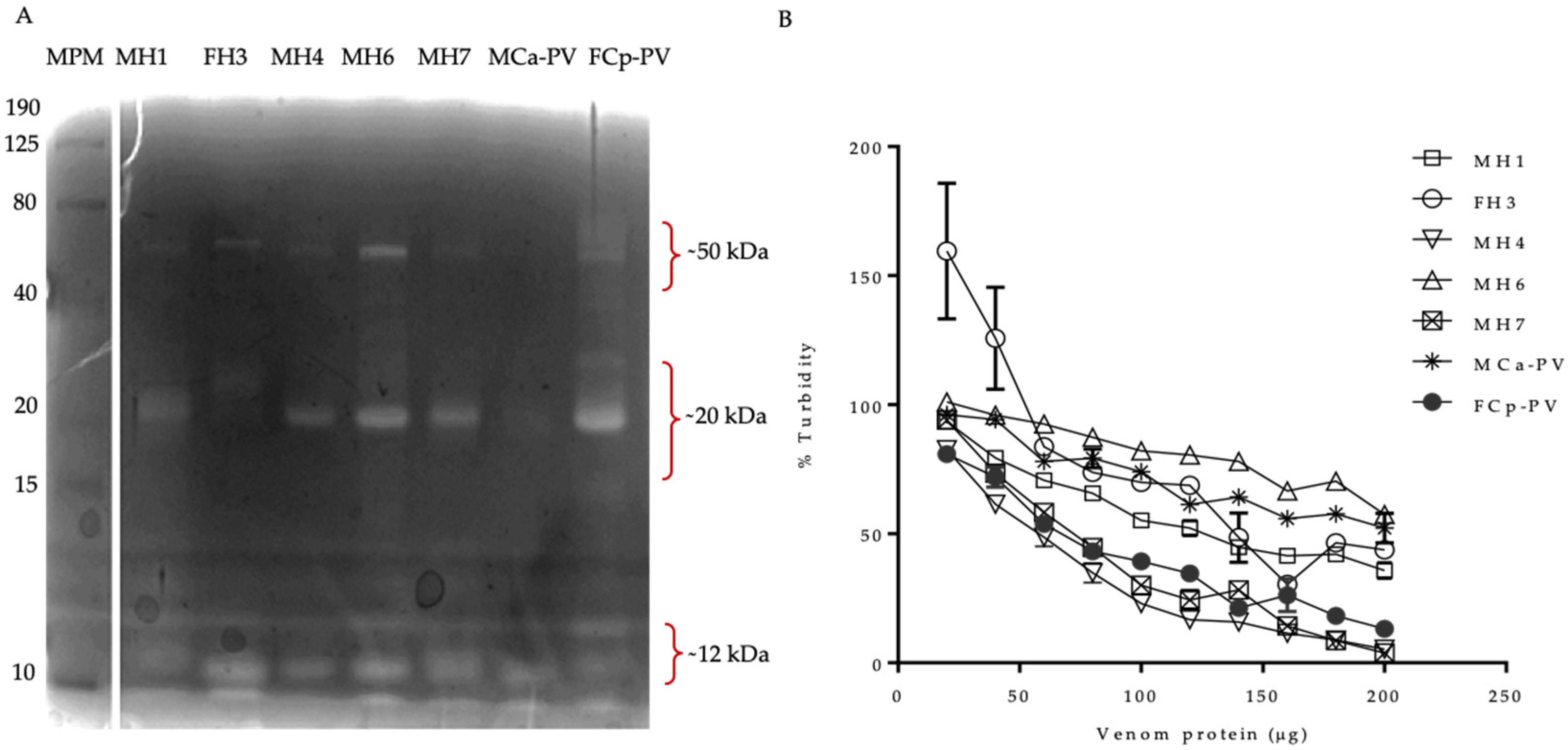Biology 11 00661 g006 Biology 11 00661 g006