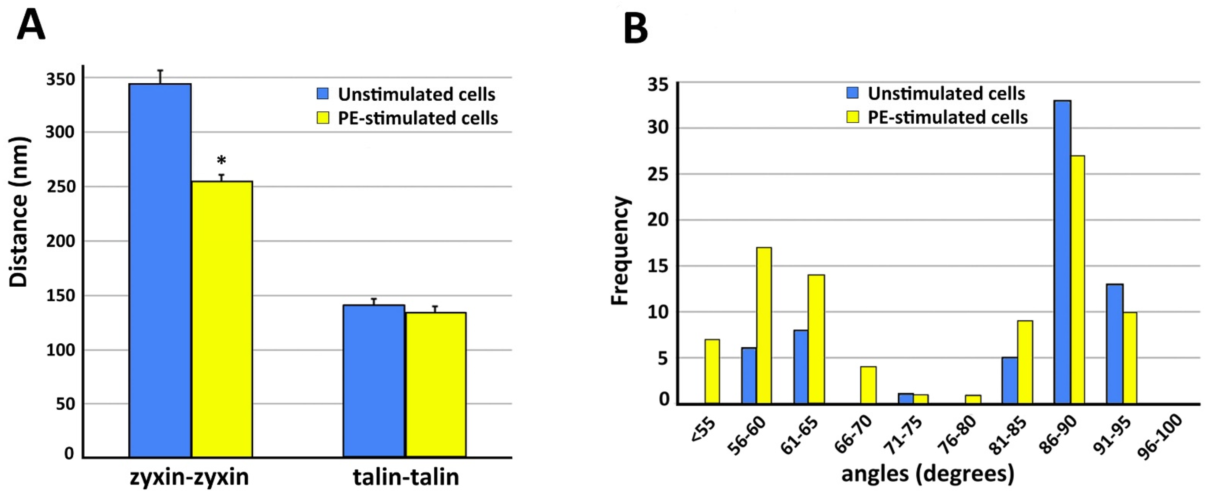 Biology 11 00662 g004