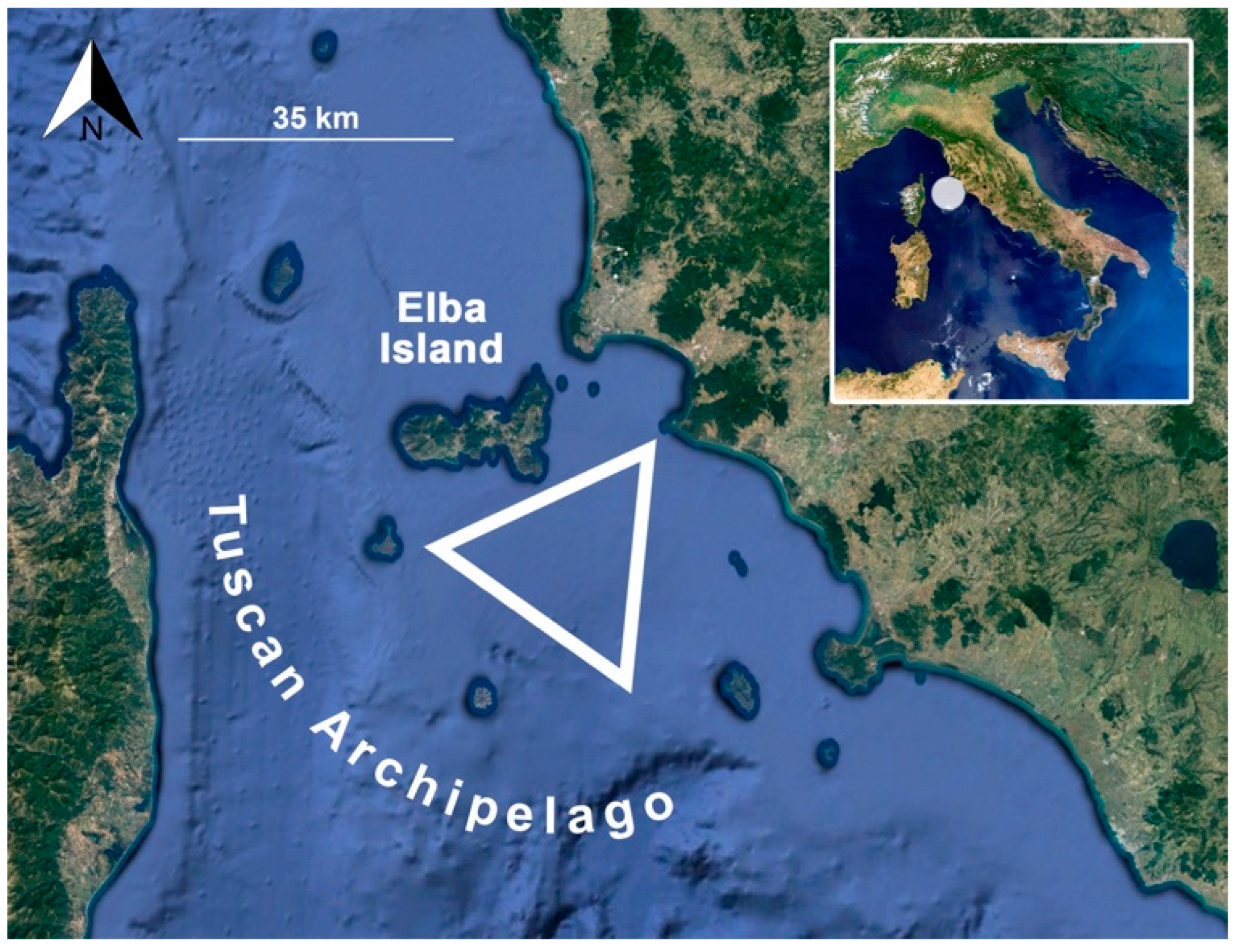Biology 11 00663 g001 Biology 11 00663 g001