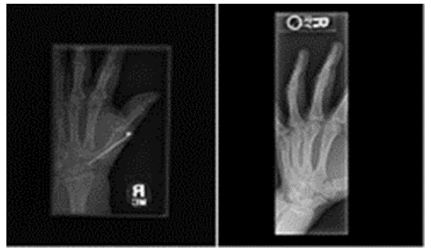 Biology 11 00665 g001