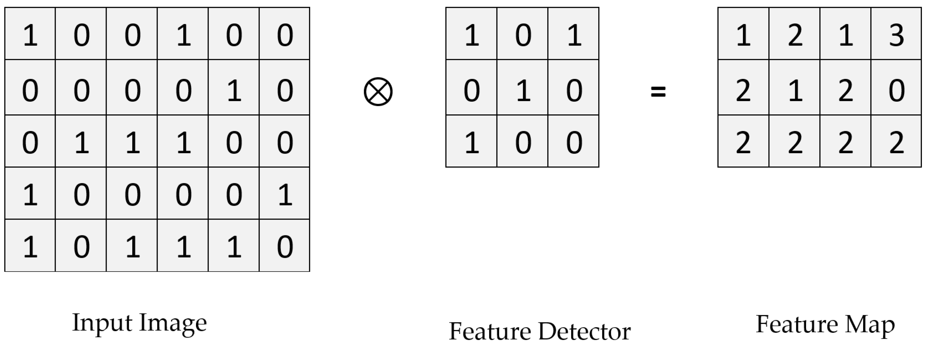 Biology 11 00665 g003