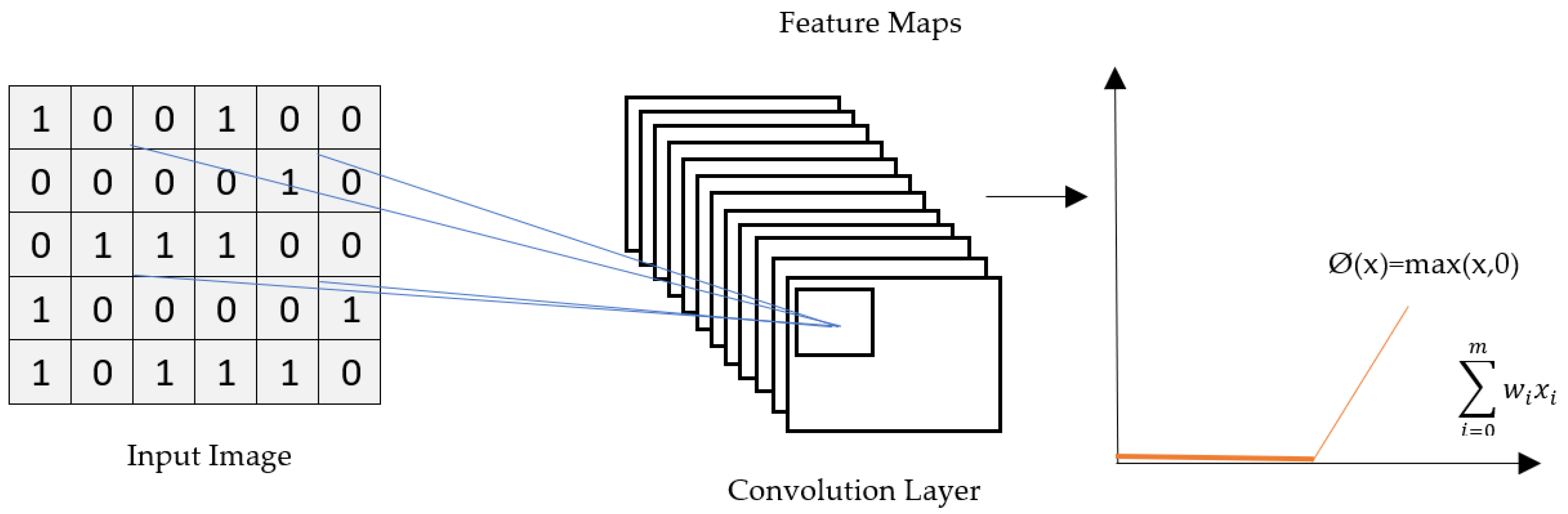 Biology 11 00665 g004