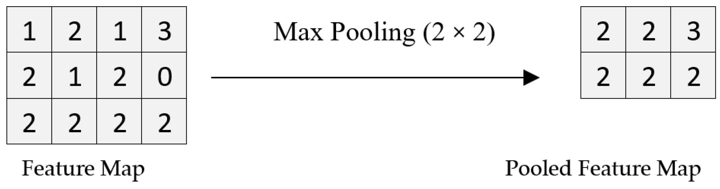 Biology 11 00665 g005