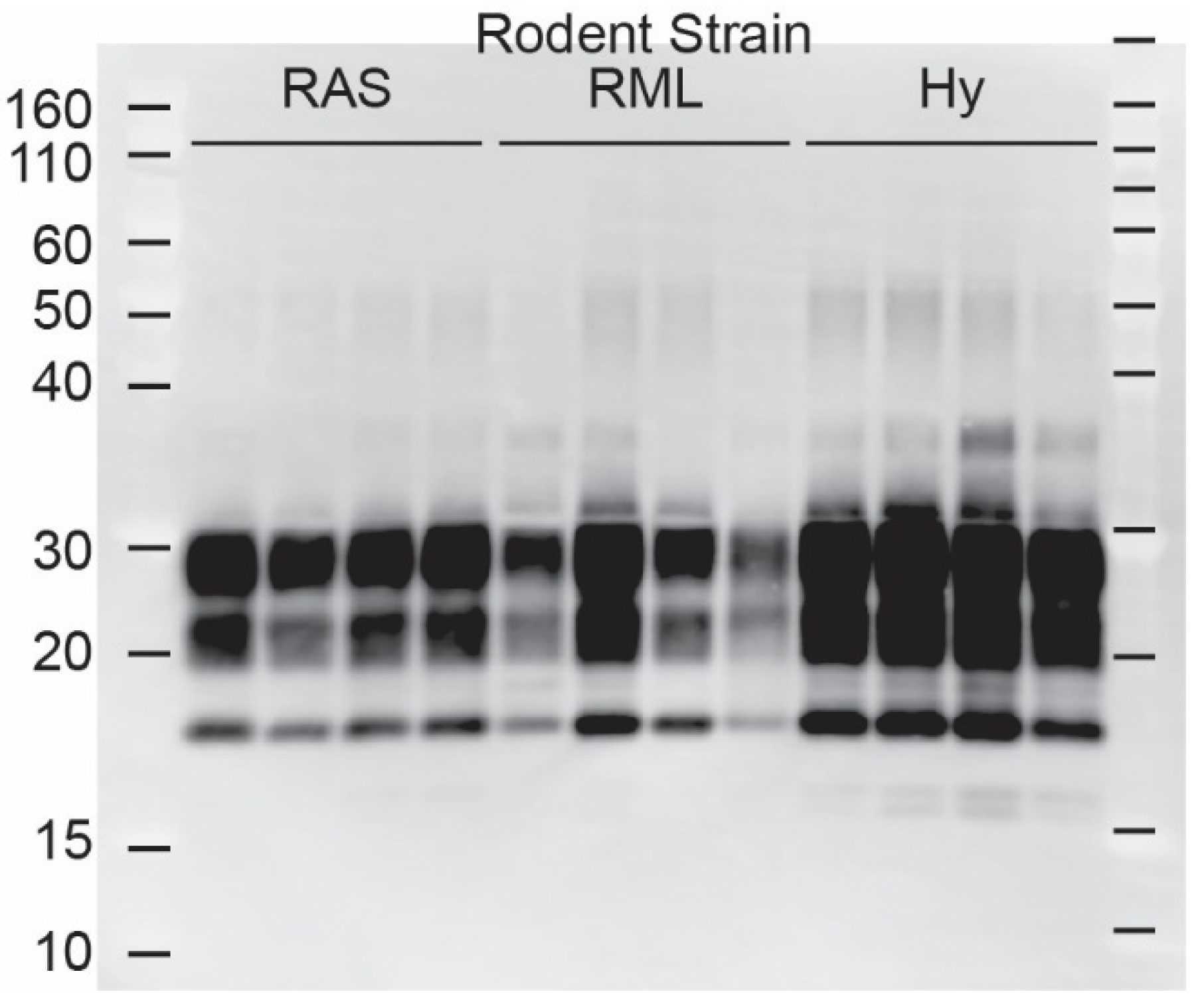 Biology 11 00667 g002 Biology 11 00667 g002