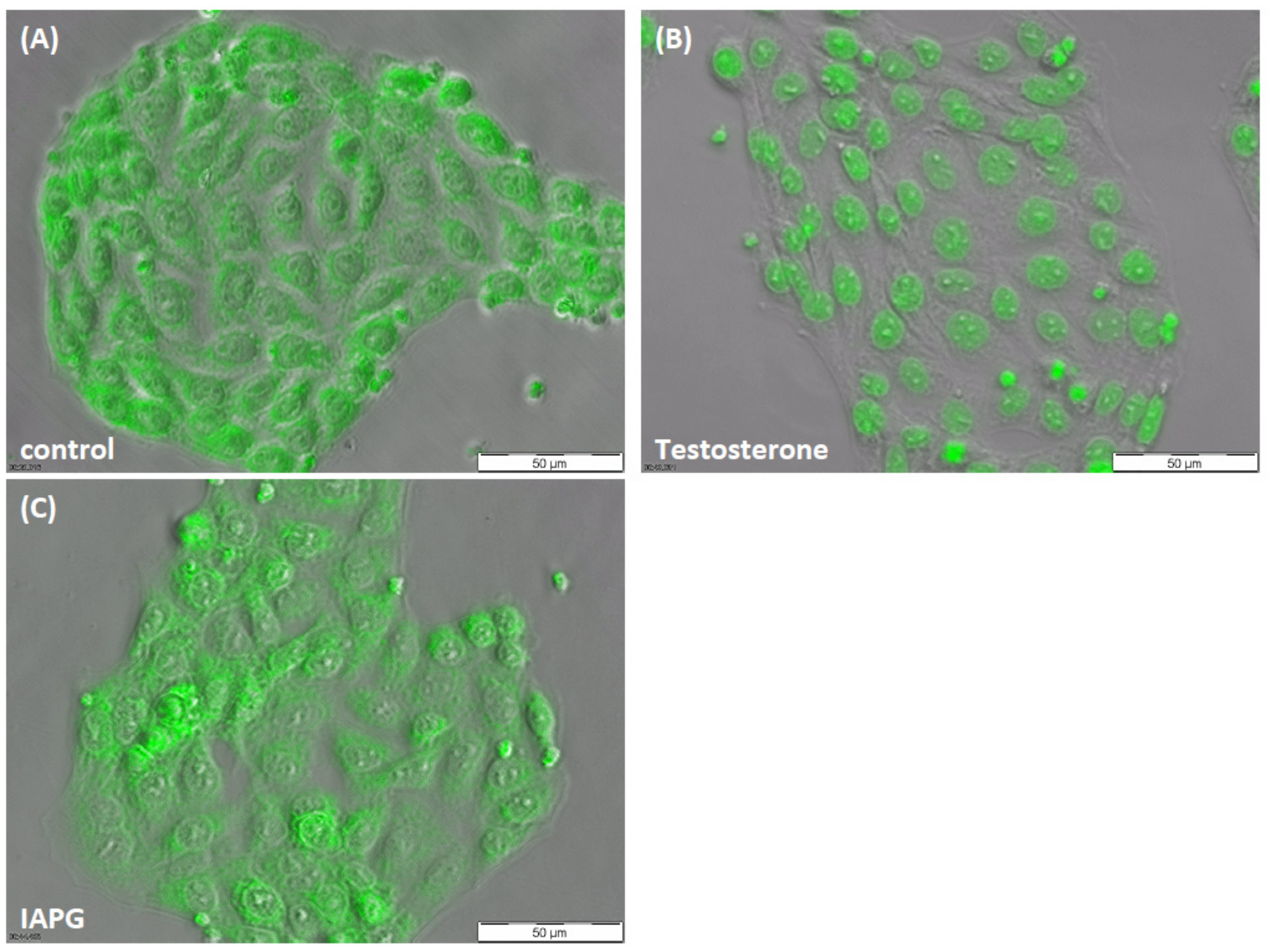 Biology 11 00668 g003
