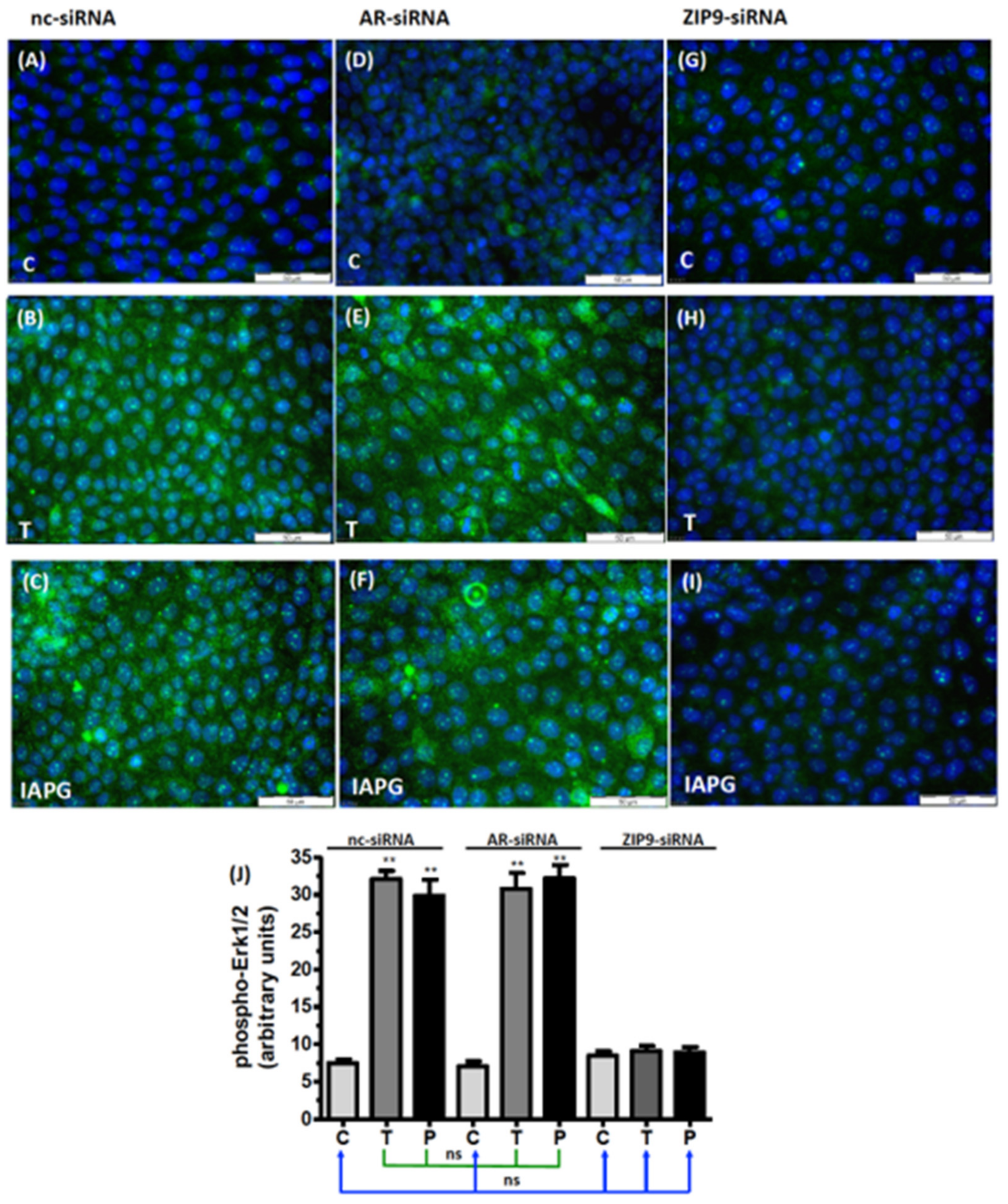Biology 11 00668 g006