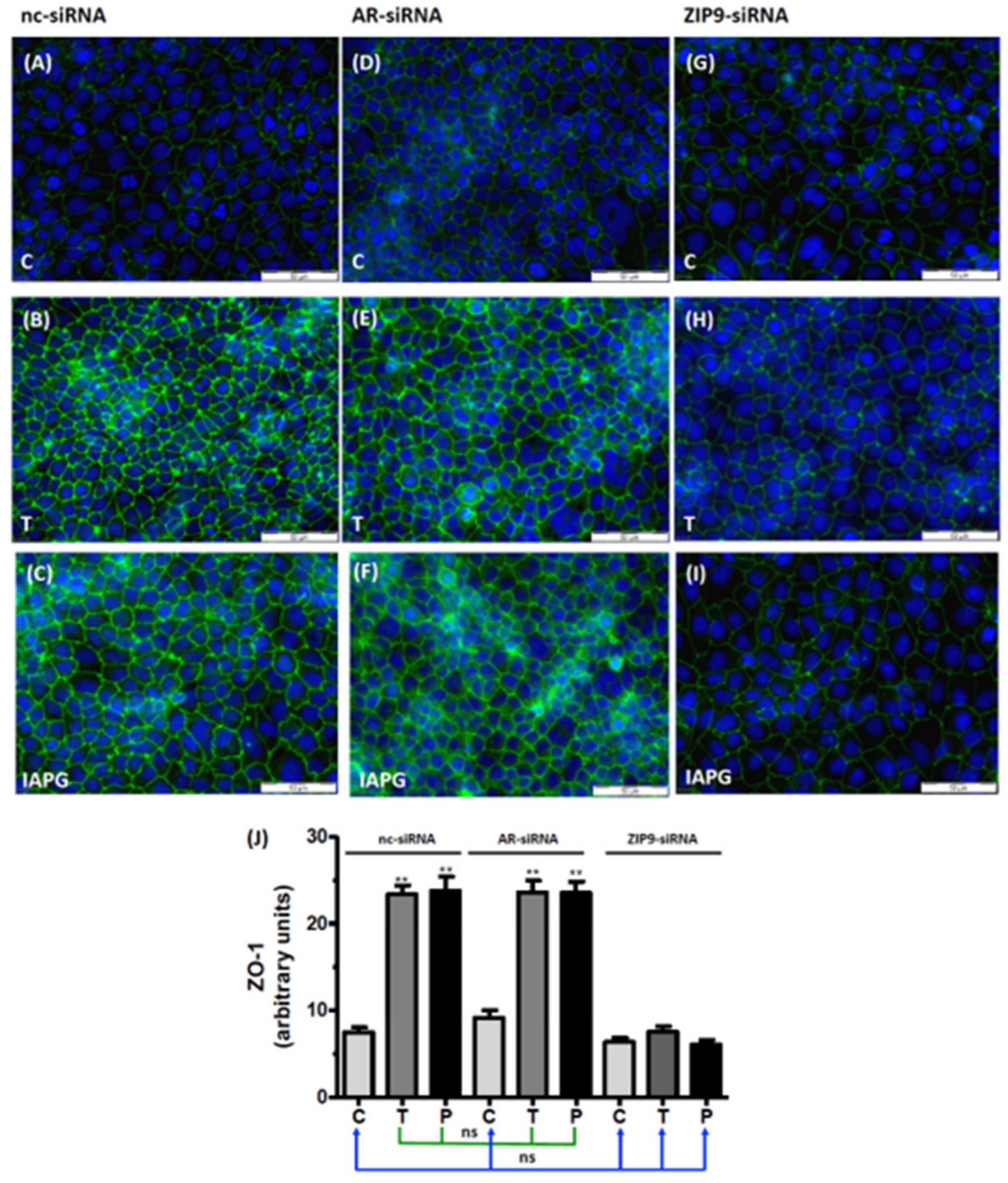 Biology 11 00668 g008