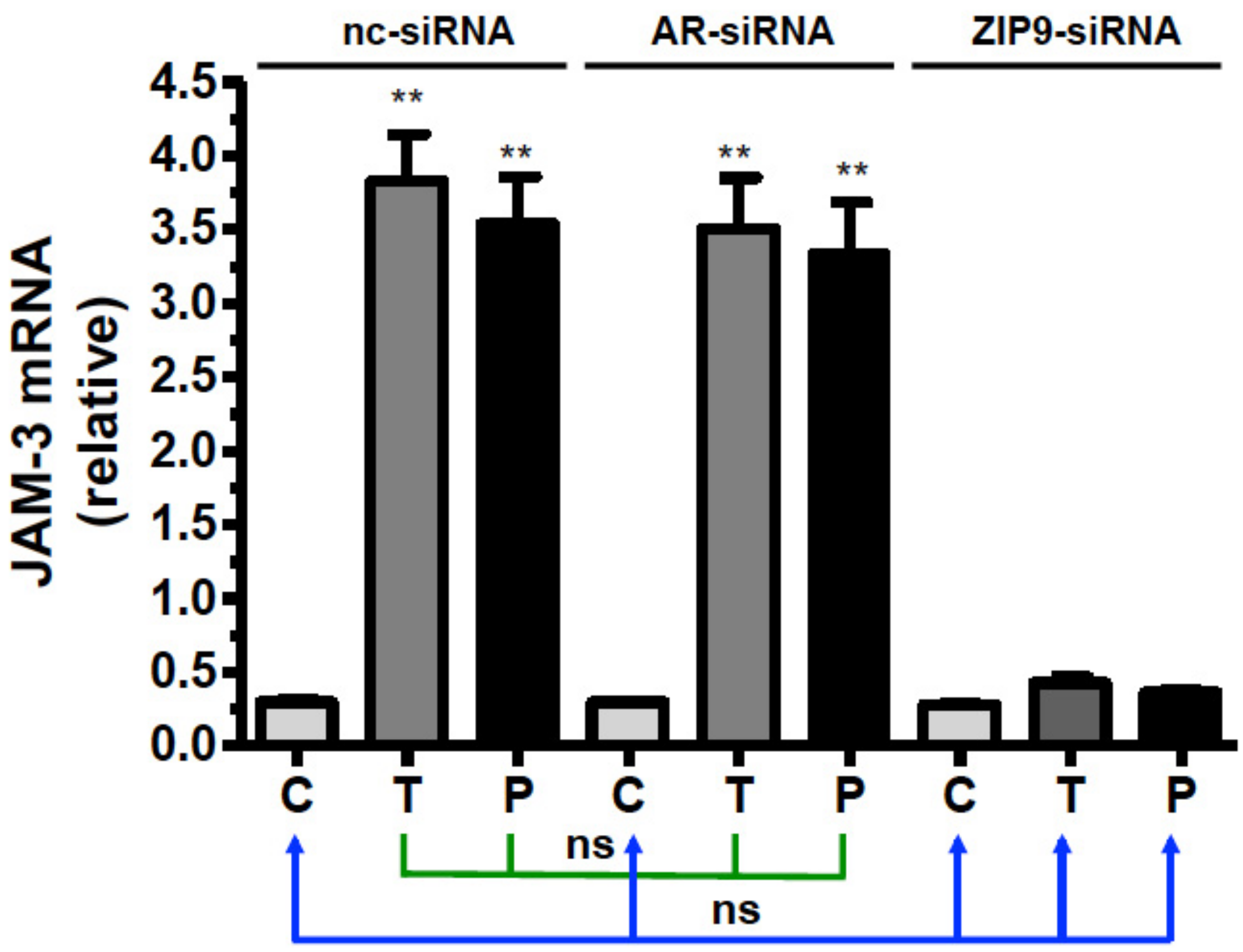 Biology 11 00668 g010