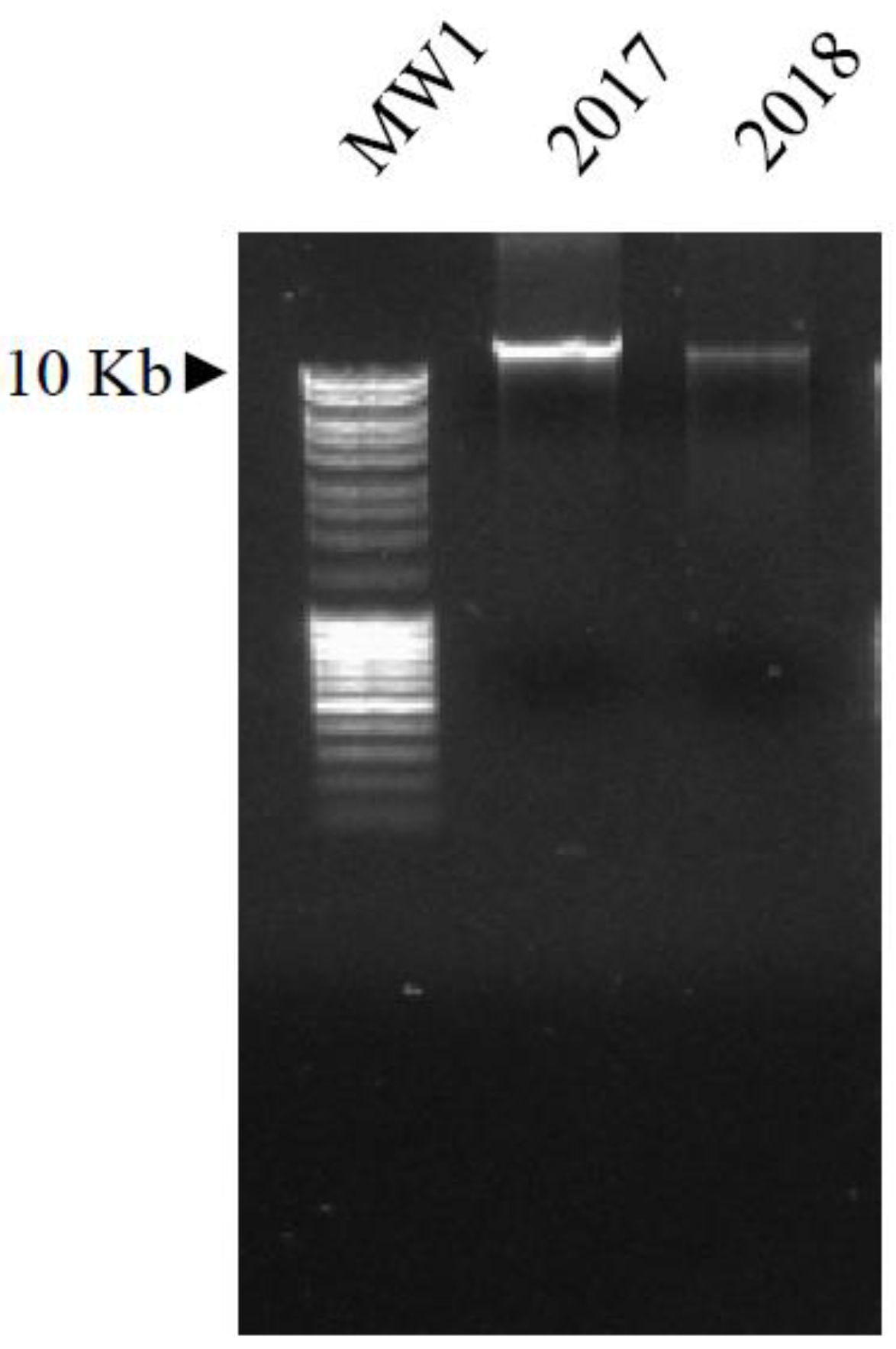 Biology 11 00672 g004 Biology 11 00672 g004