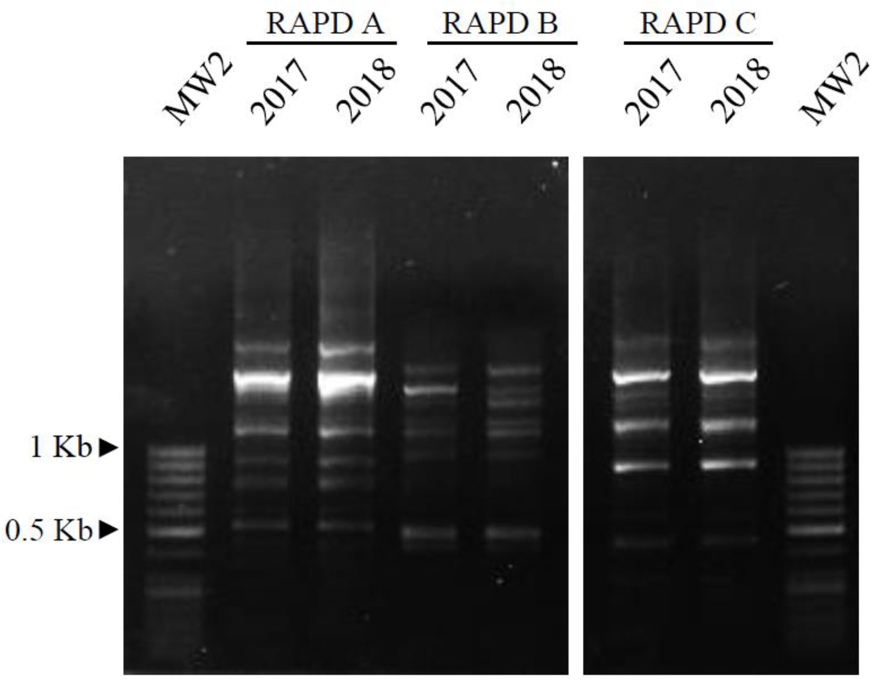Biology 11 00672 g005 Biology 11 00672 g005