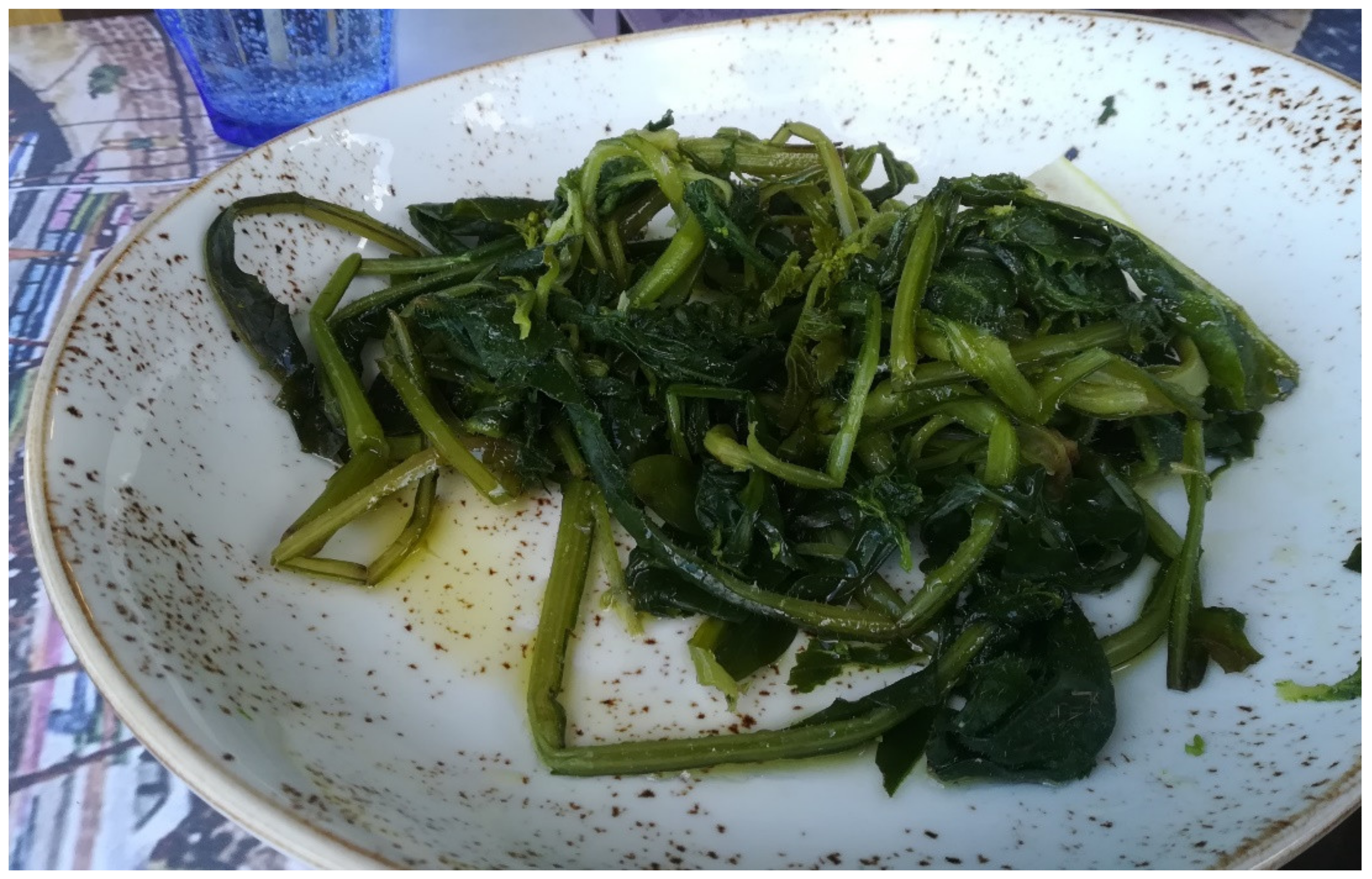 Biology 11 00673 g005 550