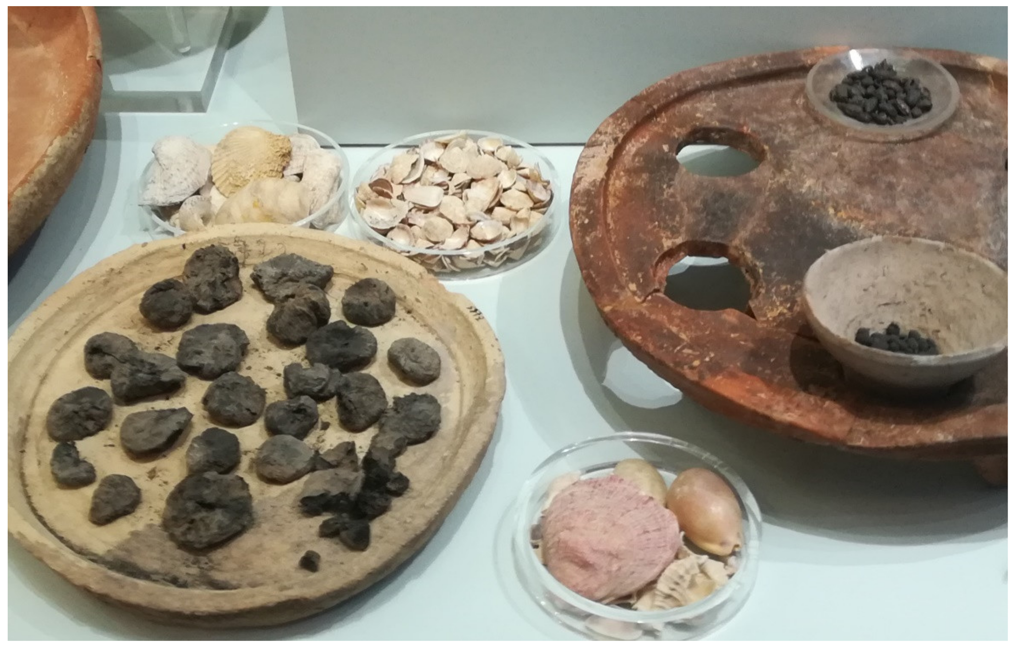 Biology 11 00673 g007 550